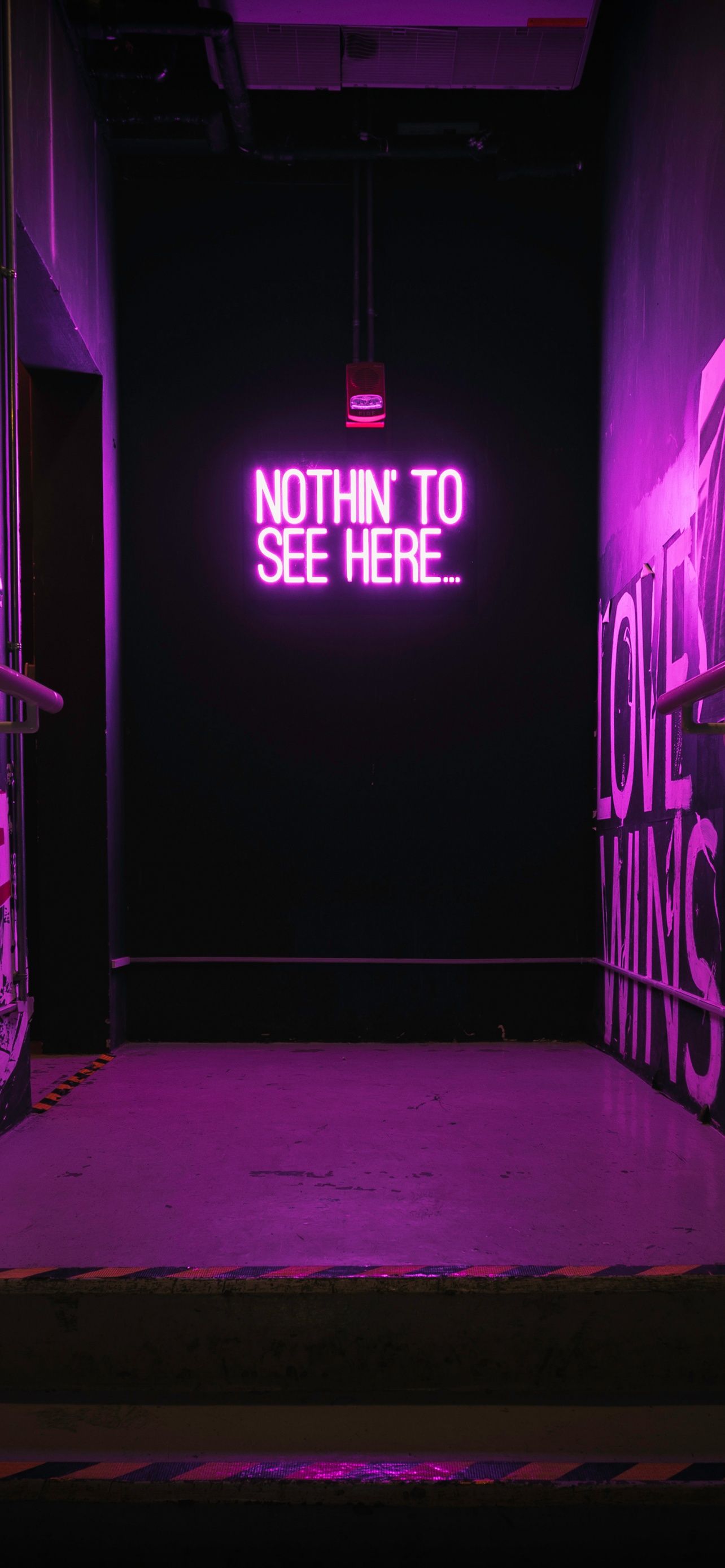 Nothing to See Here Wallpaper 4K, Purple aesthetic, Neon sign