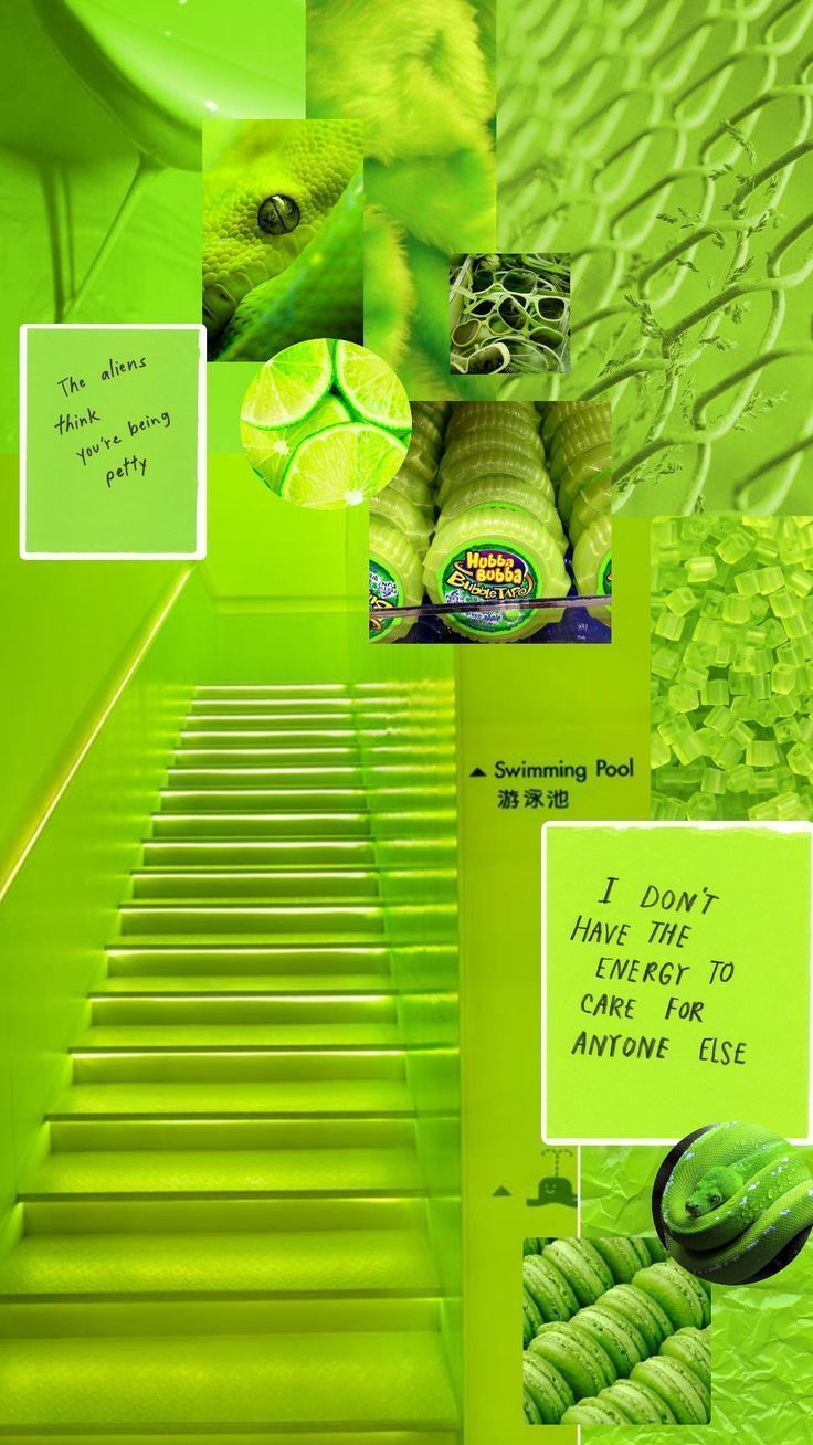 A collage of green images including a gecko, a bottle of lime Gatorade, a swimming pool, and a quote. - Lime green
