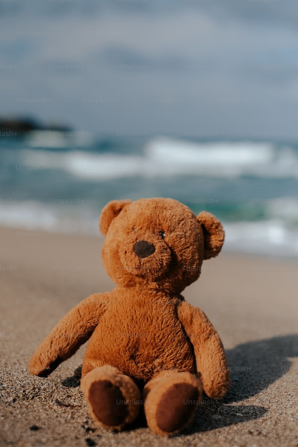 <ref> A cute brown teddy bear</ref><box>(88,436),(779,978)</box> sitting on a beach - Teddy bear