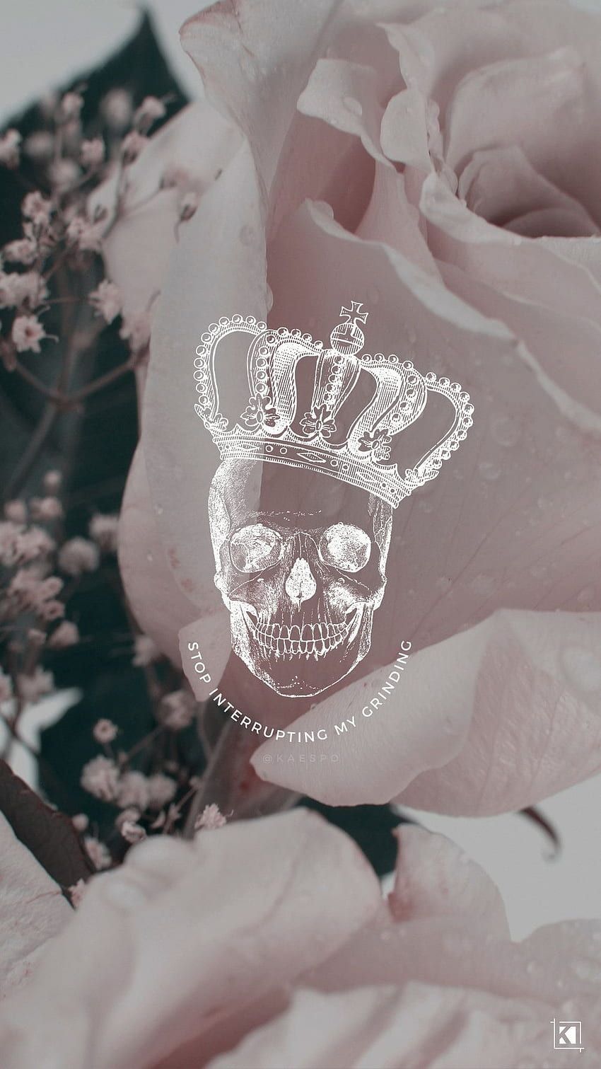A skull wearing a crown is seen in the middle of the image. - Beyonce