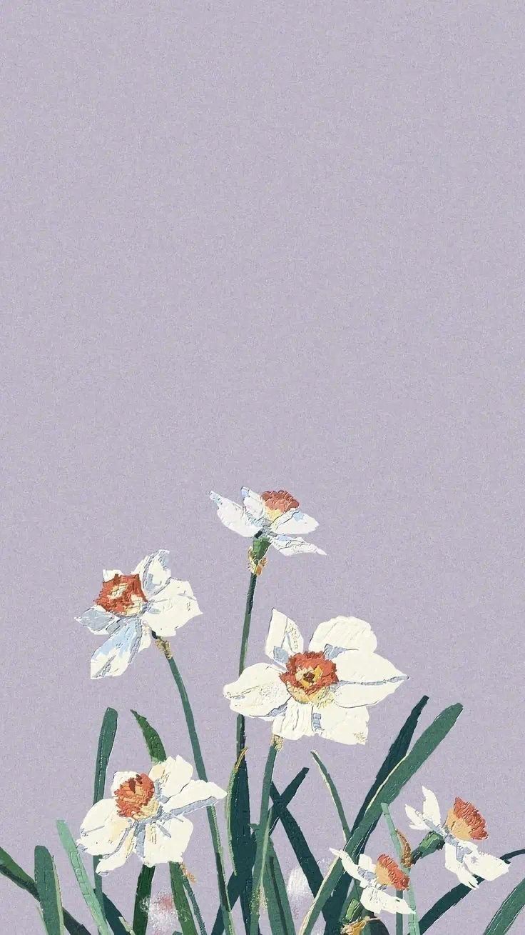 A phone wallpaper of a painting of white flowers on a purple background - Pastel minimalist