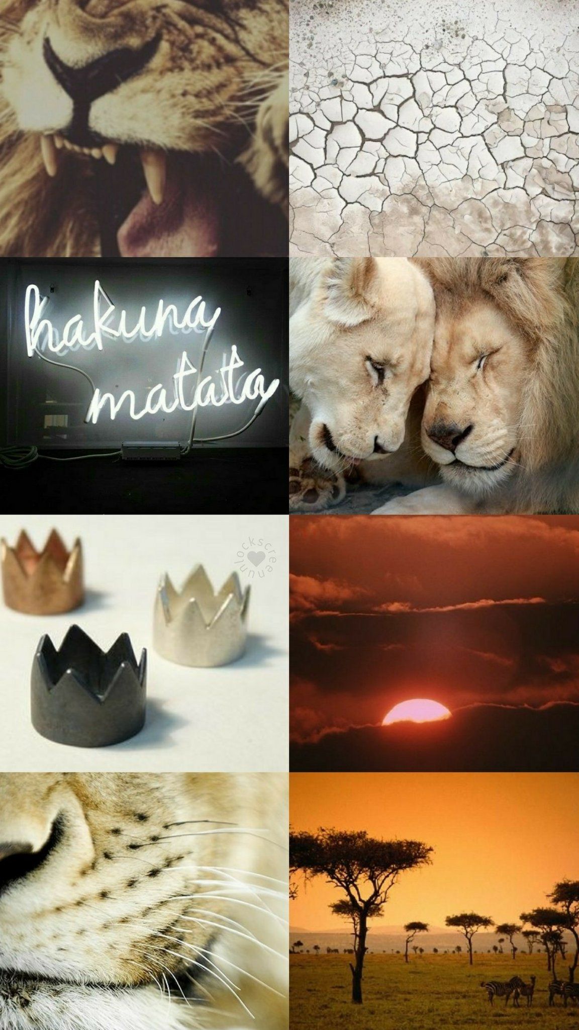Collage of images related to the Lion King including the title of the movie, a sunset, a lion and a cheetah. - The Lion King