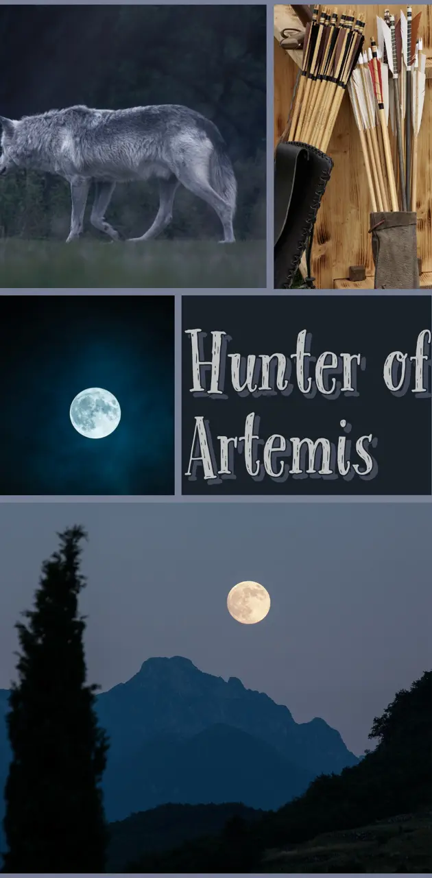 Hunter of Artemis wallpaper