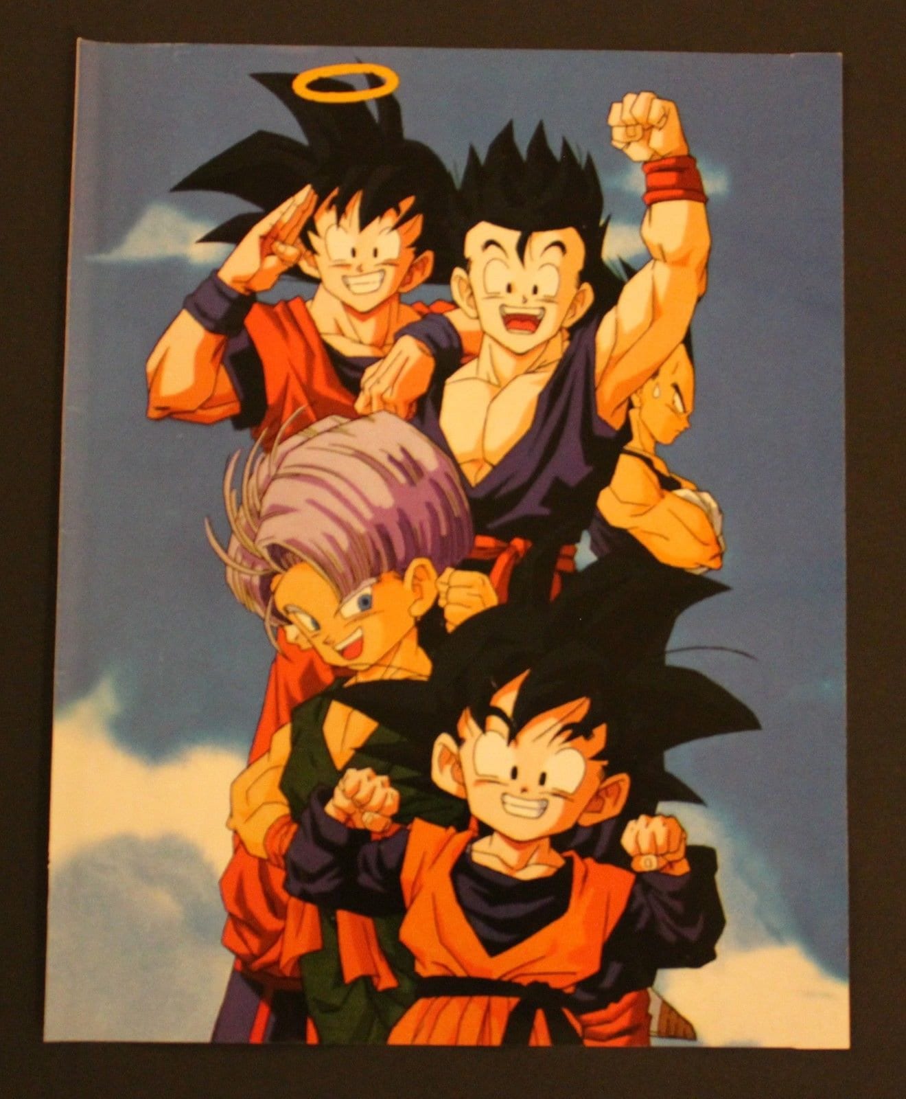 A picture of the dragon ball z characters - Dragon Ball