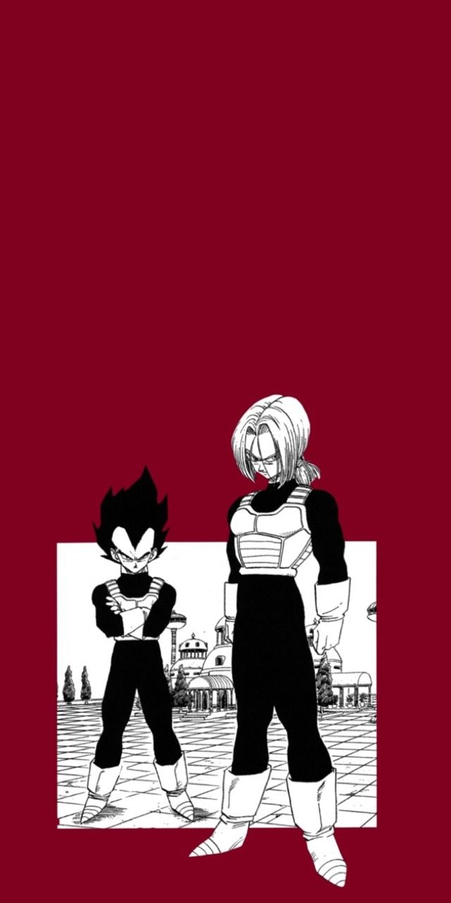 Vegeta and Trunks wallpaper - Dragon Ball