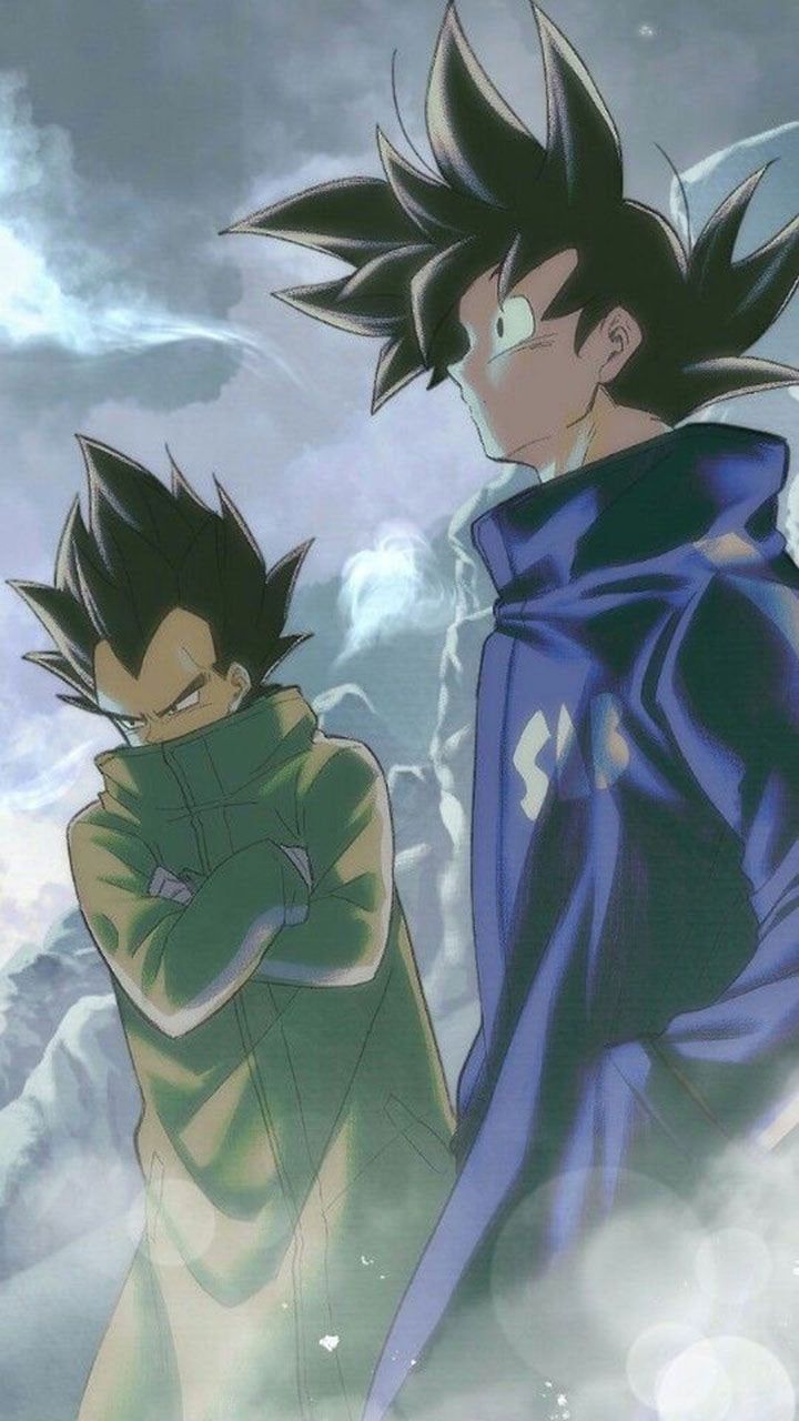 Wallpaper of Goku and Vegeta from the anime series Dragon Ball Super - Dragon Ball