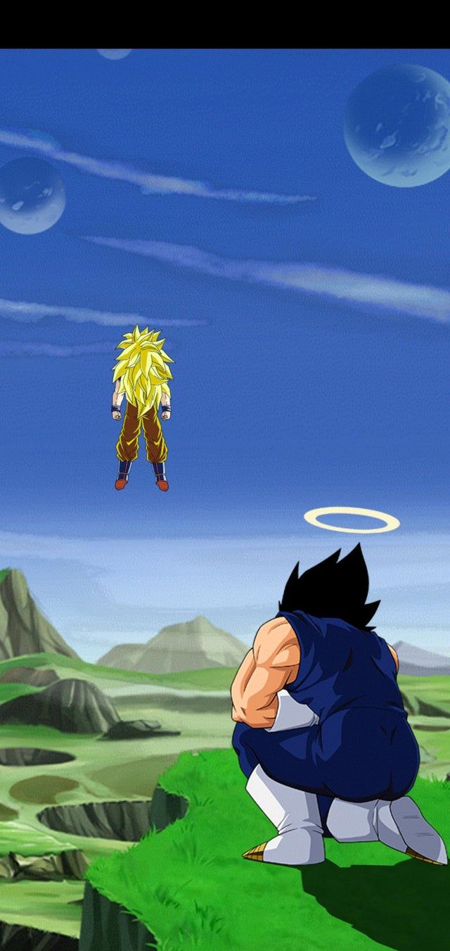 A video game with two characters in it - Dragon Ball