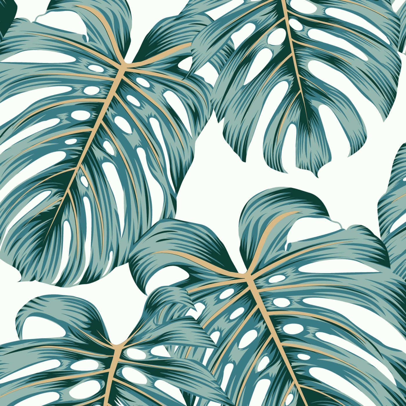 Download Monstera Leaf Plant Aesthetic Illustration Wallpaper