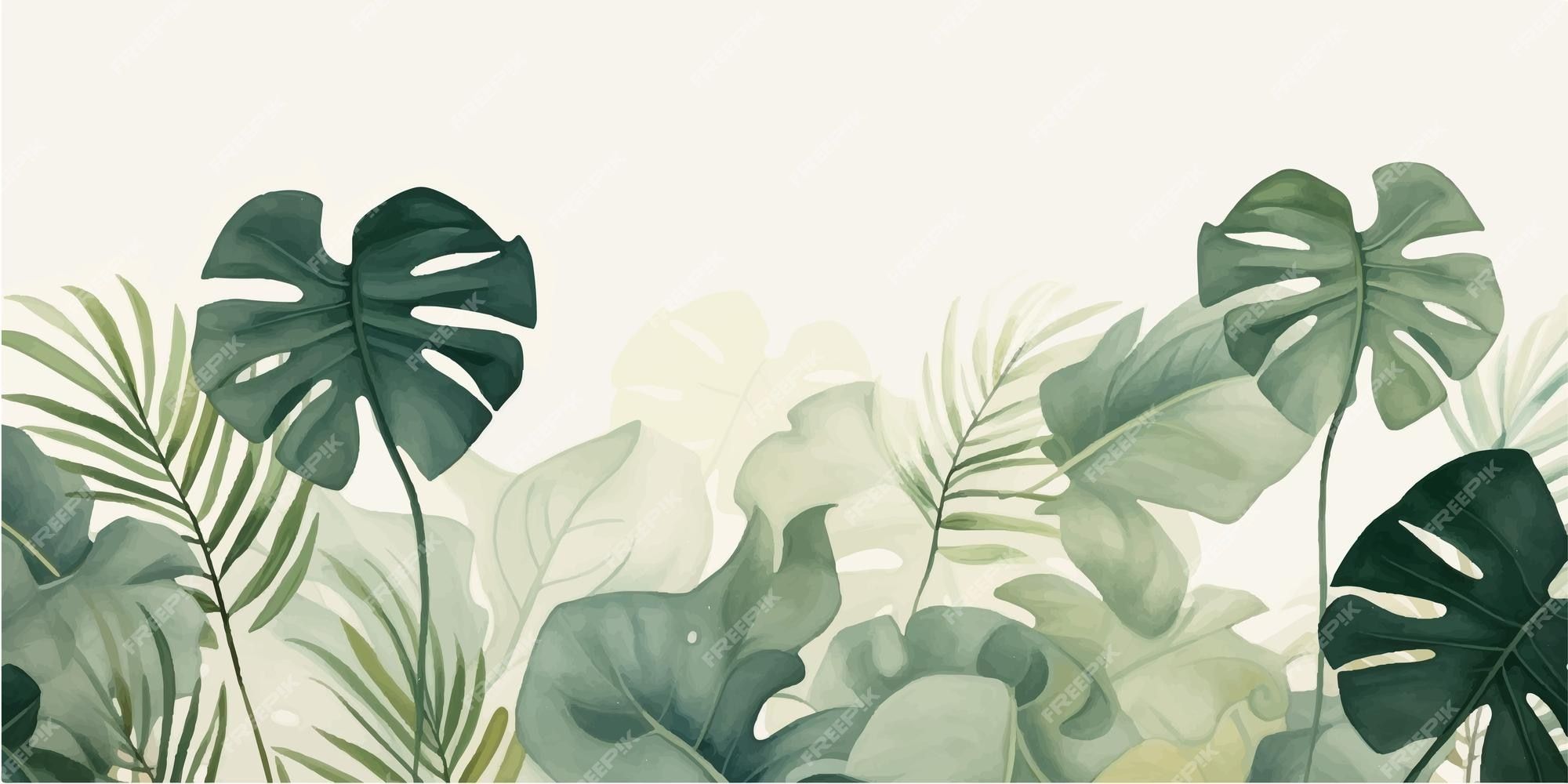 A background illustration of tropical leaves - Monstera