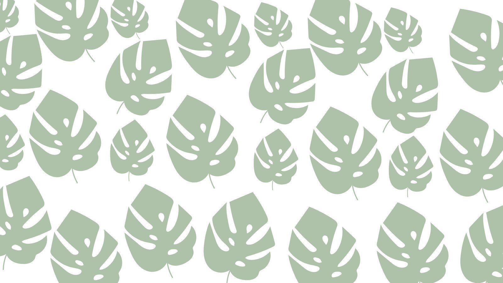 A pattern of green monstera leaves on a white background - Monstera