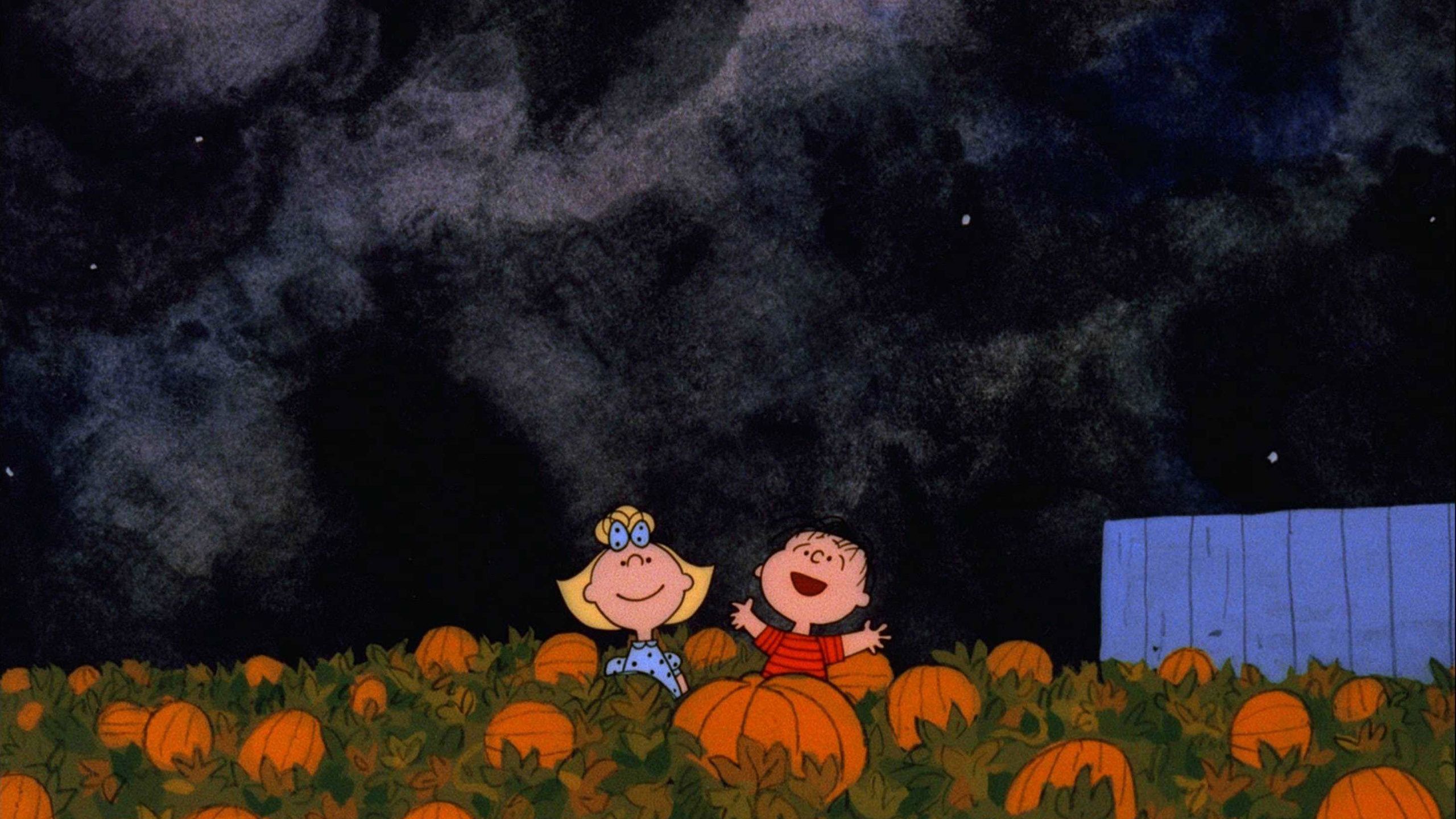 Cartoons With Pumpkins Under Dark Sky HD Thanksgiving Wallpaper