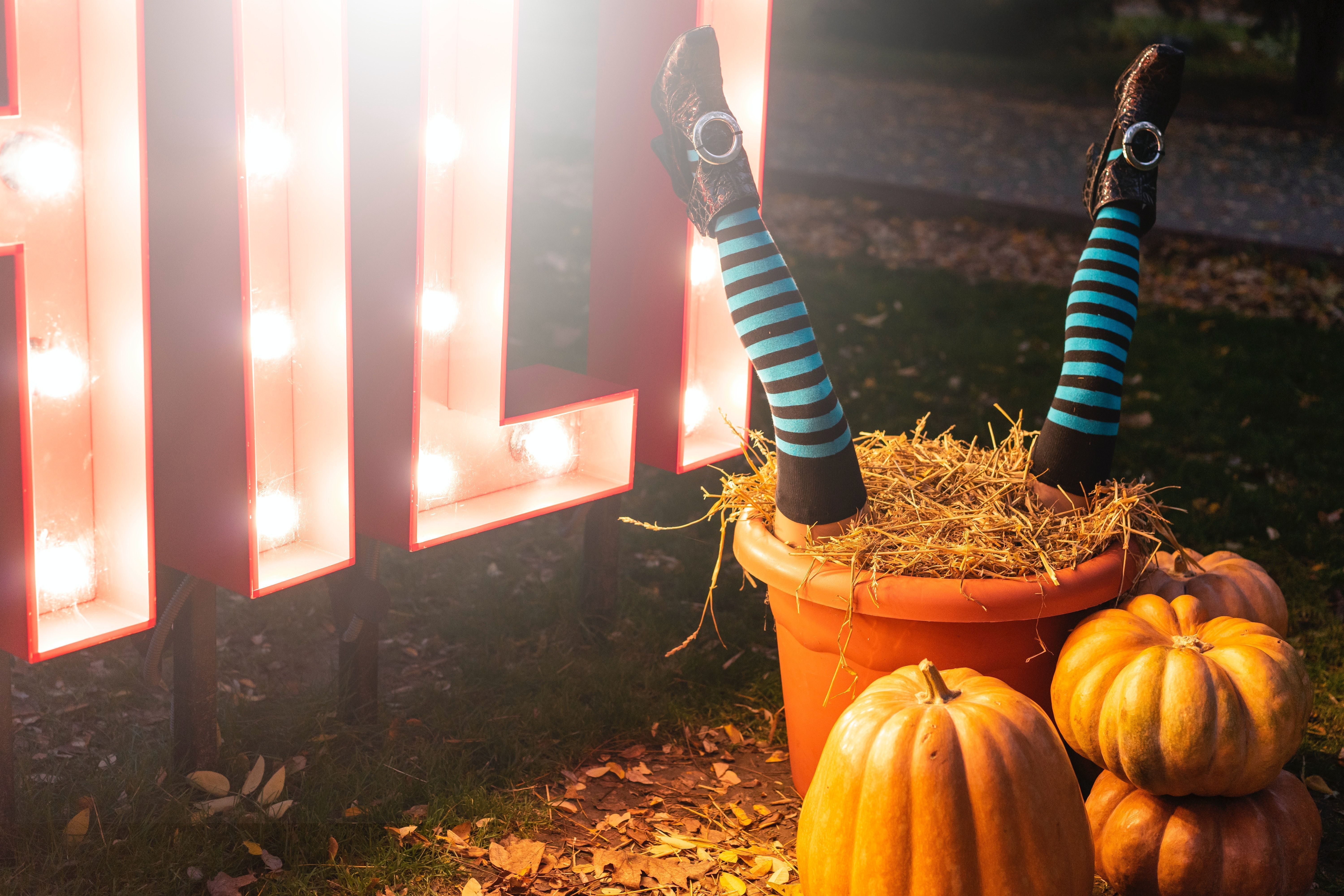 A pair of legs wearing striped socks sticking out of a potted plant next to a lighted sign that says 