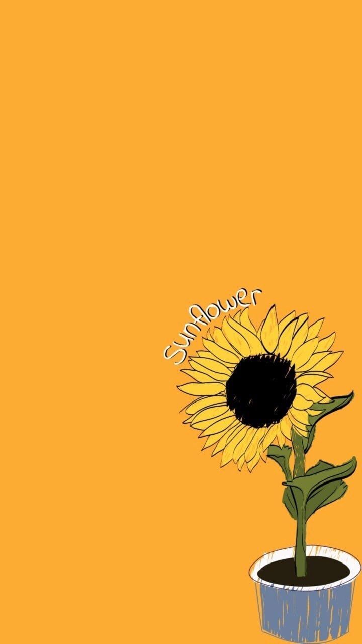 Yellow background, drawing of a sunflower, phone wallpaper - Sunflower