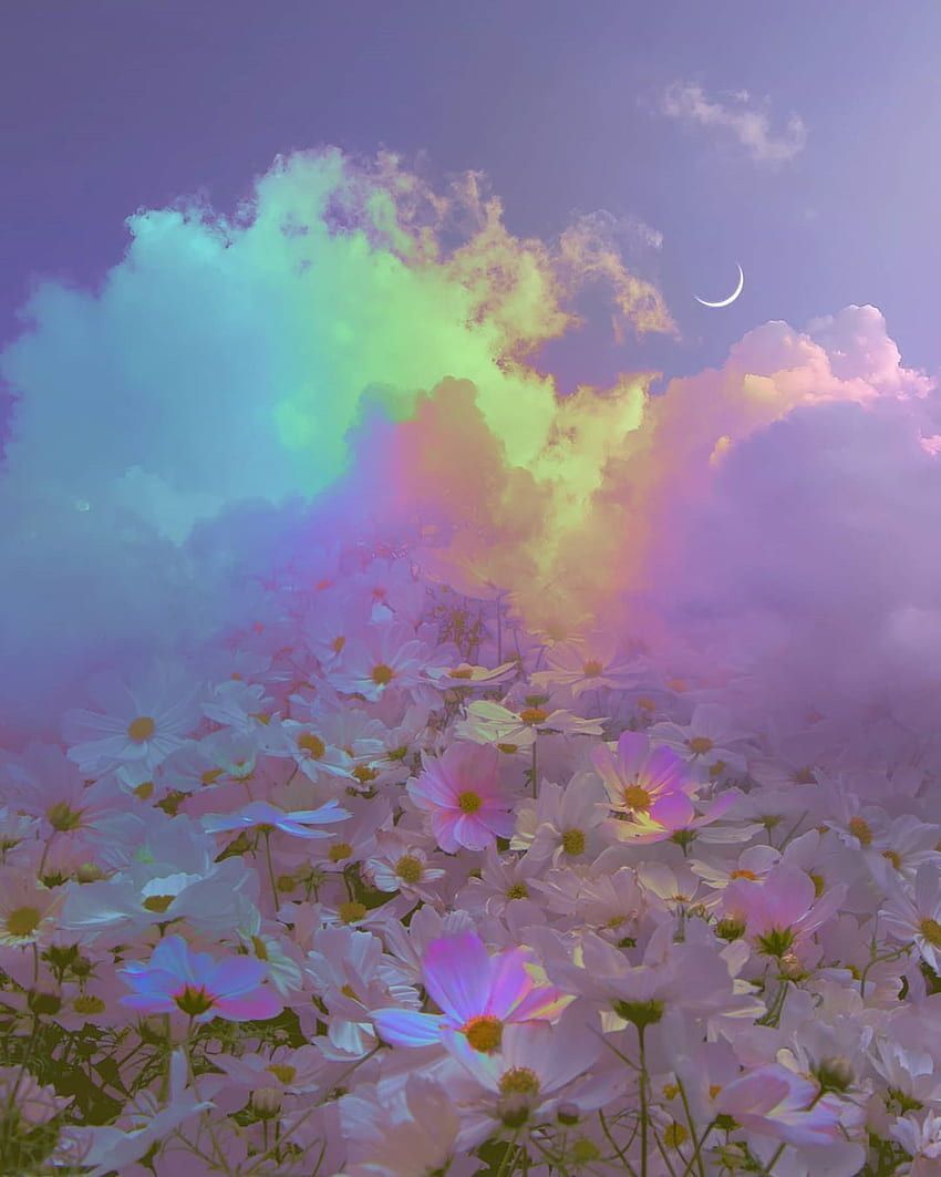 A field of white flowers with a rainbow cloud and crescent moon in the sky - Indigo
