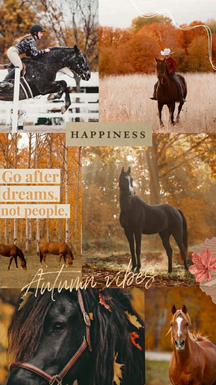 Collage of horses in the fall - Horse
