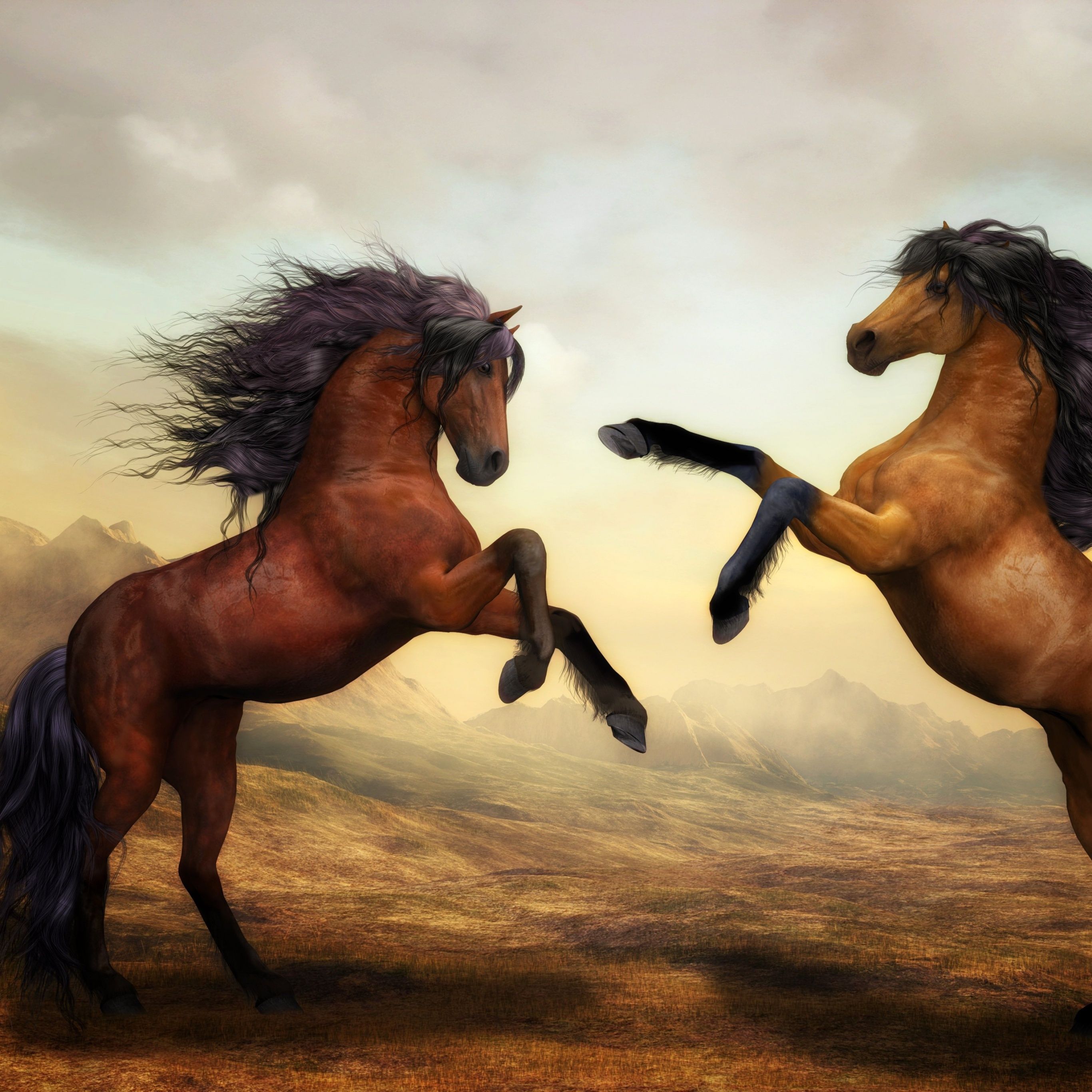 Wild Horses Wallpaper 4K, Pair, Brown Horses, Stallion