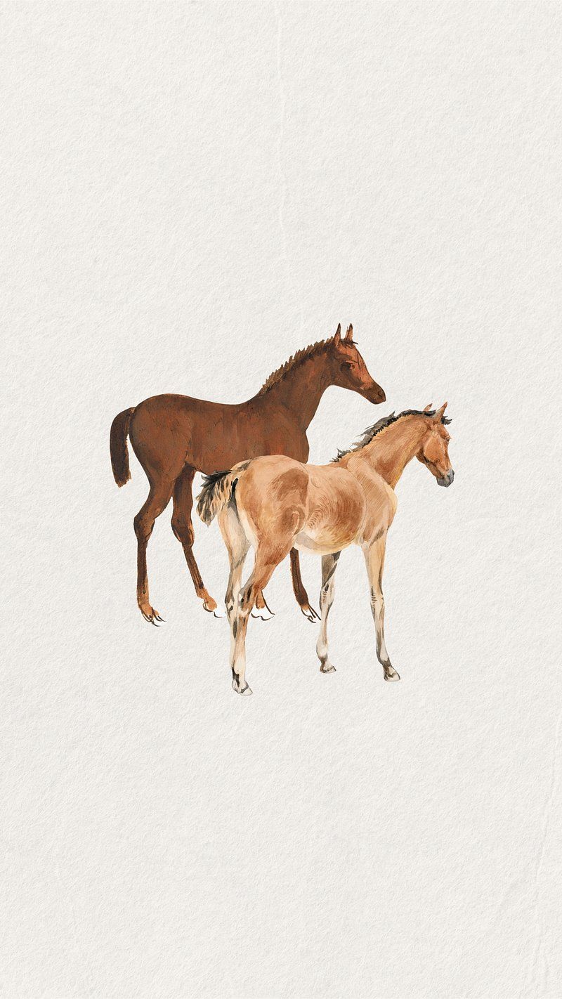 A watercolour image of a chestnut and palomino foal. - Horse