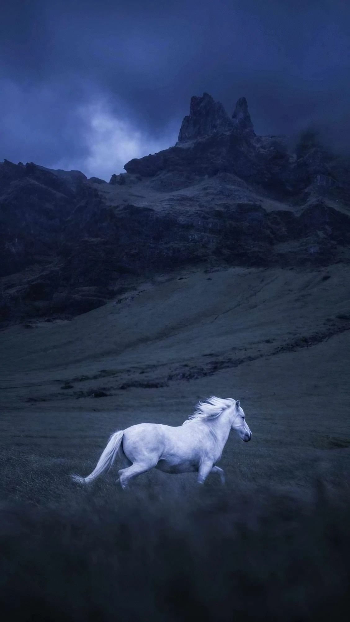 A white horse running in a field with a mountain in the background - Horse