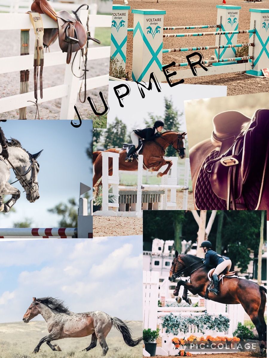 Collage of horse jumping photos with the word 