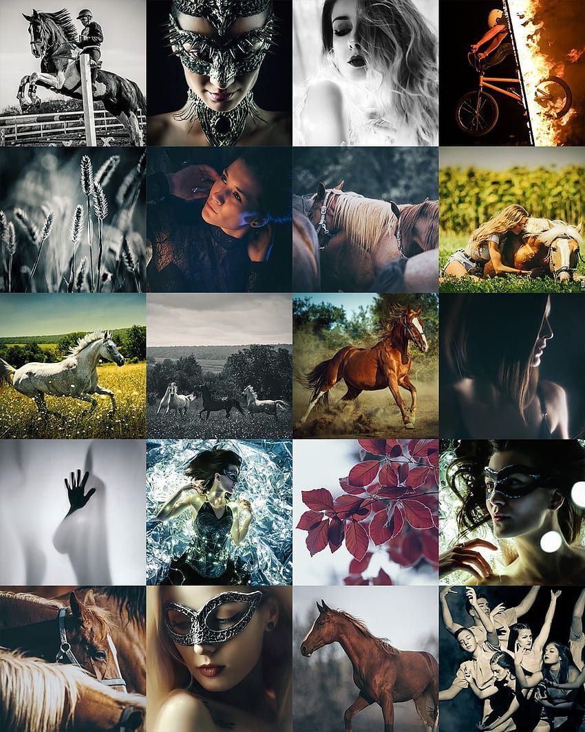 Best of 2020 [ blog], Horse Collage HD phone wallpaper