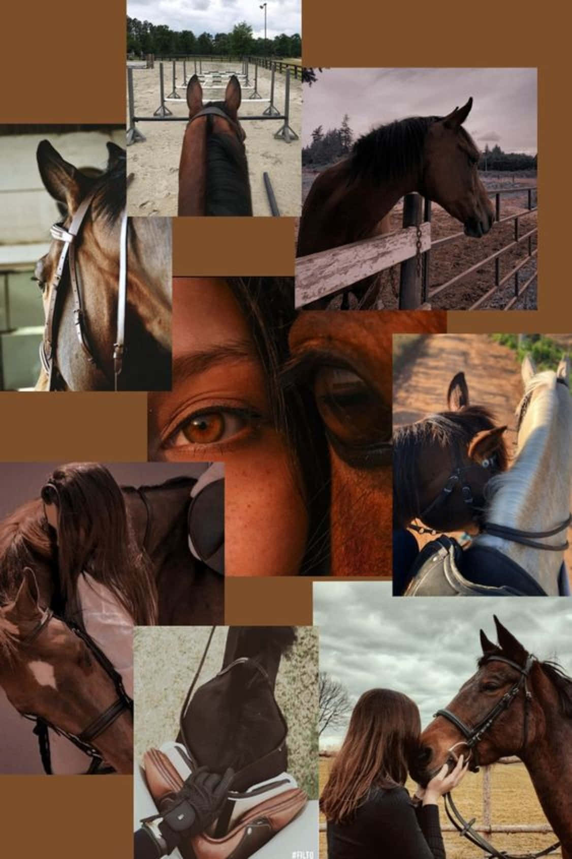 Download Stunning Horse Collage Wallpaper