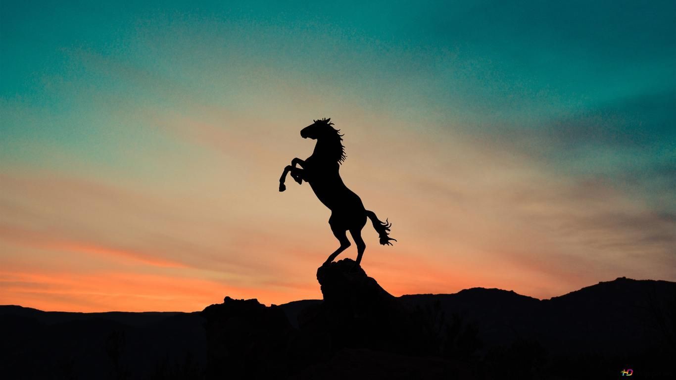 Horse silhouette and sunset red view prancing on cliffs 2K wallpaper download