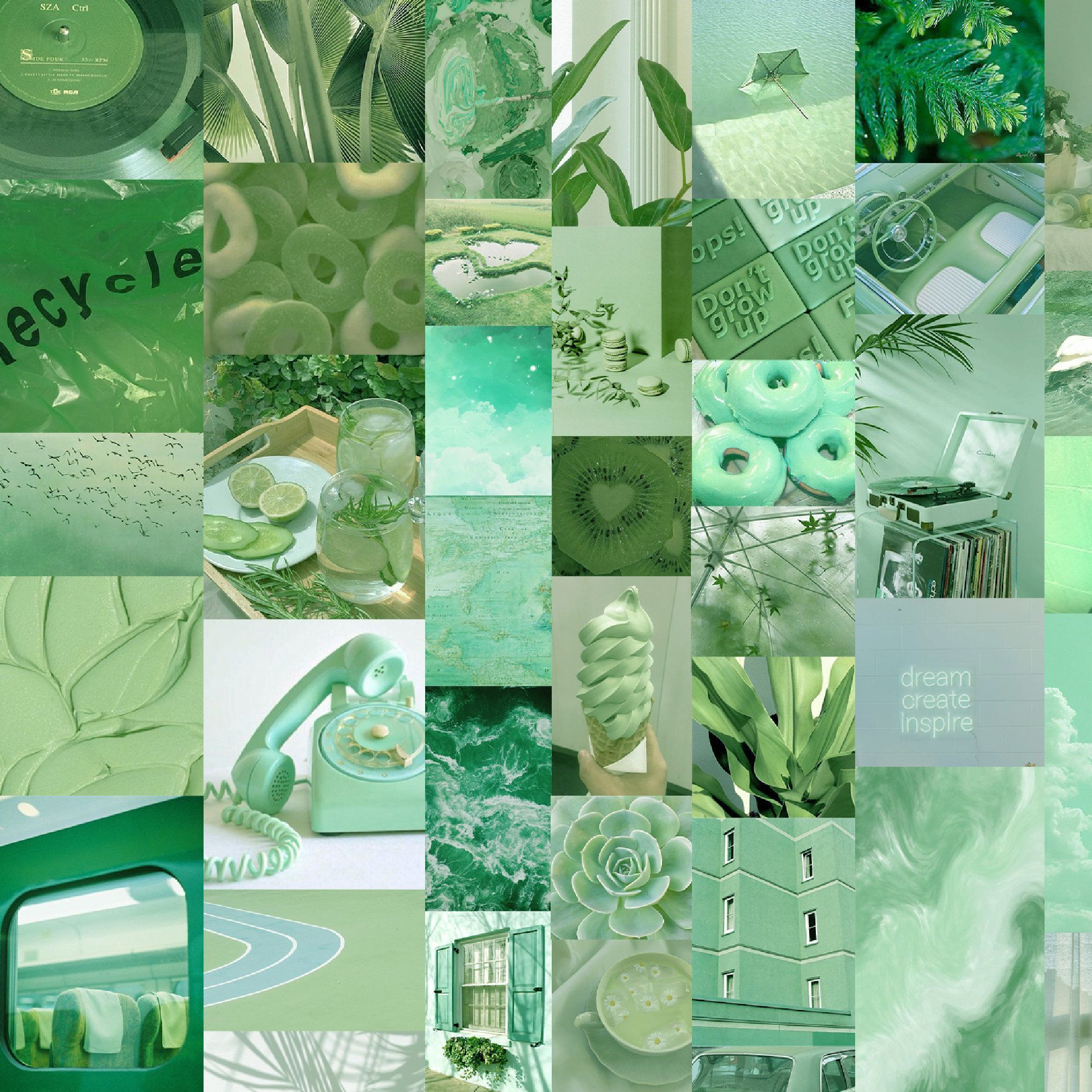 A collage of photos of different shades of green. - Mint green