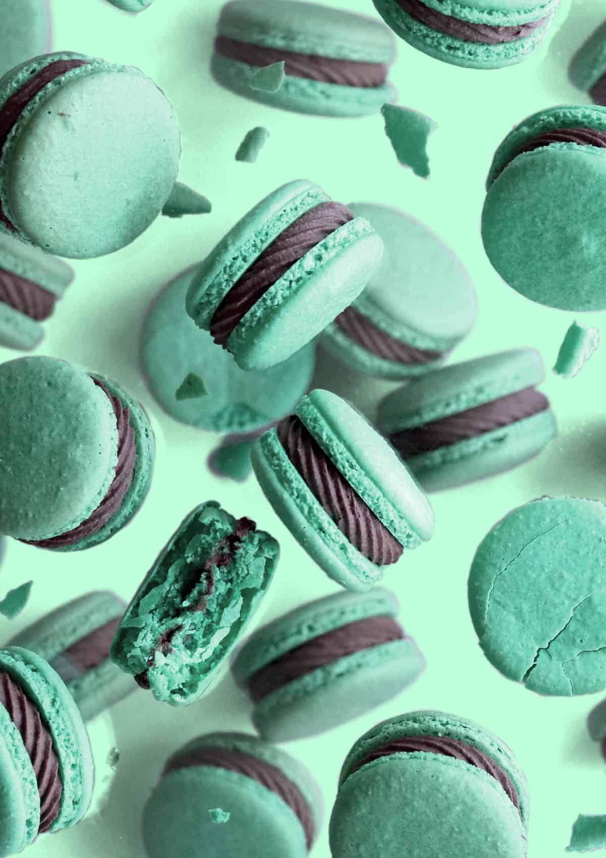 Overhead shot of mint chocolate macarons on a green background - Macarons