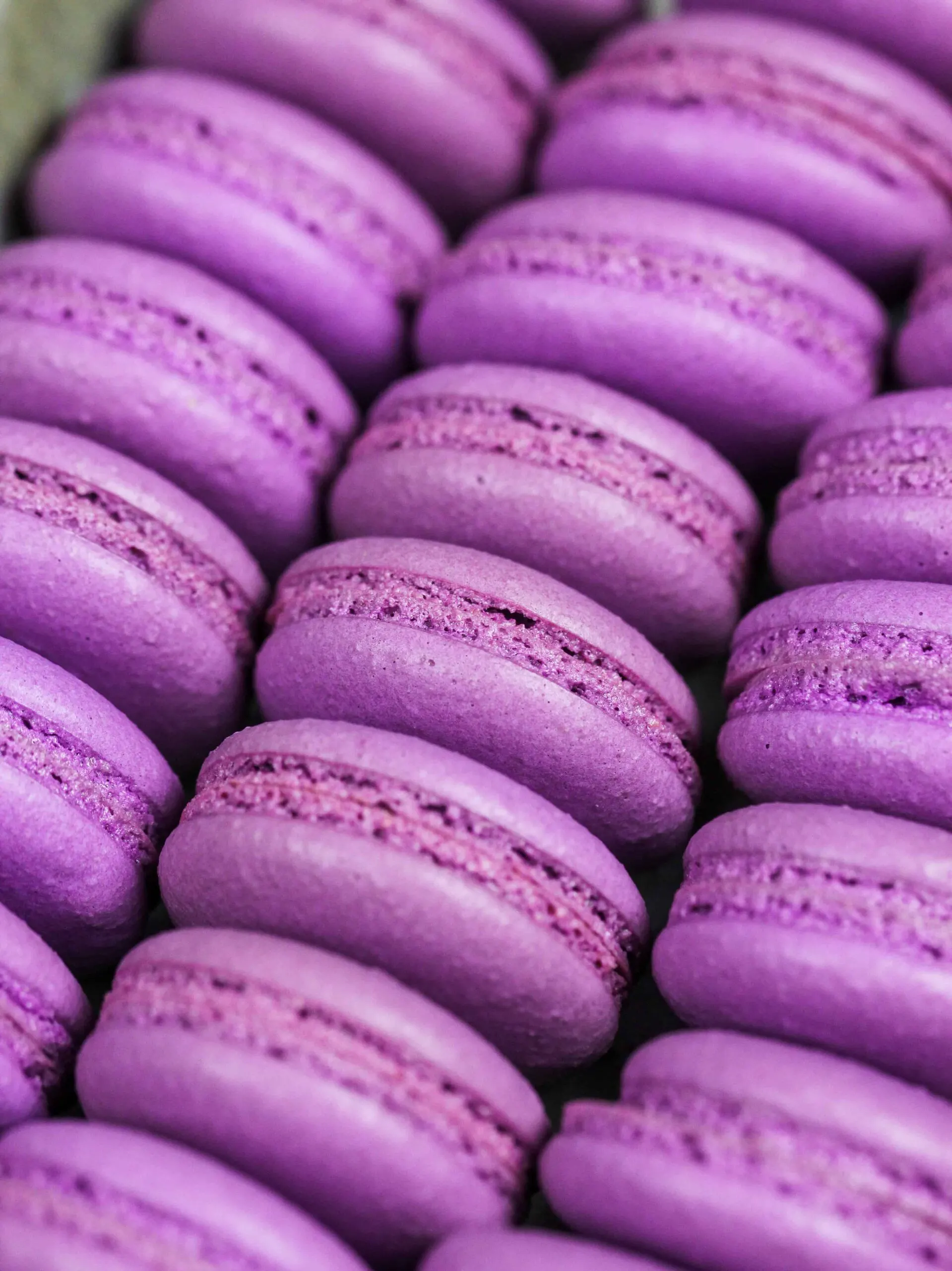 Rows of purple macarons in a box - Macarons