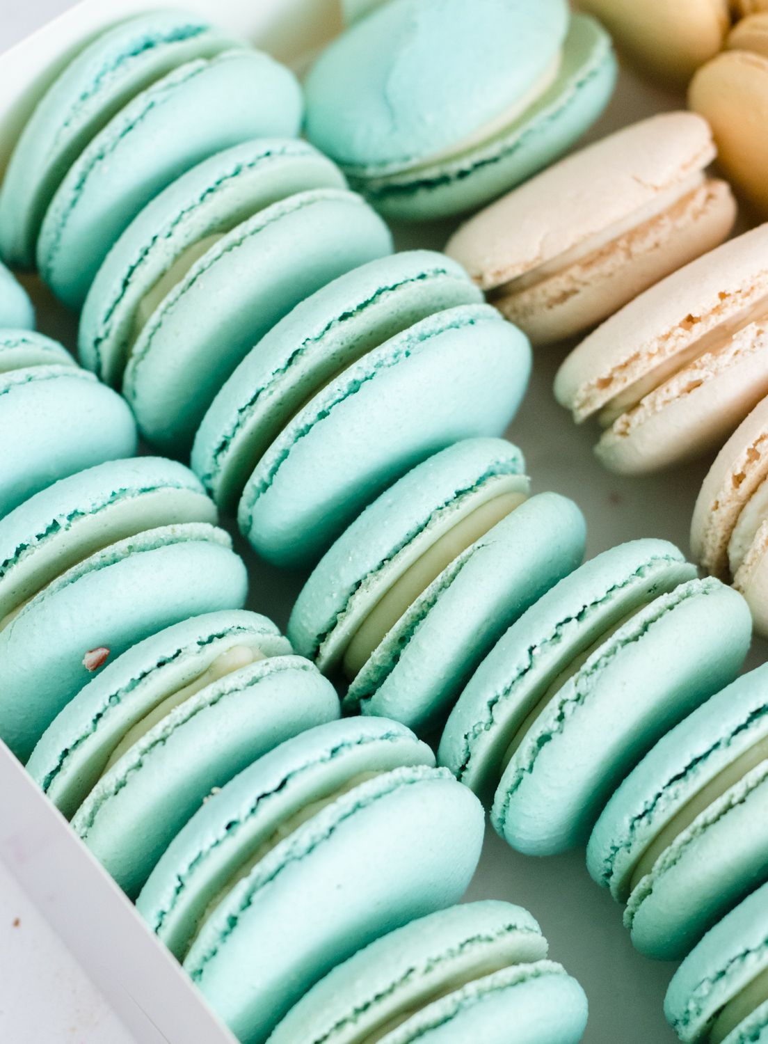 A box of blue and white macarons. - Macarons