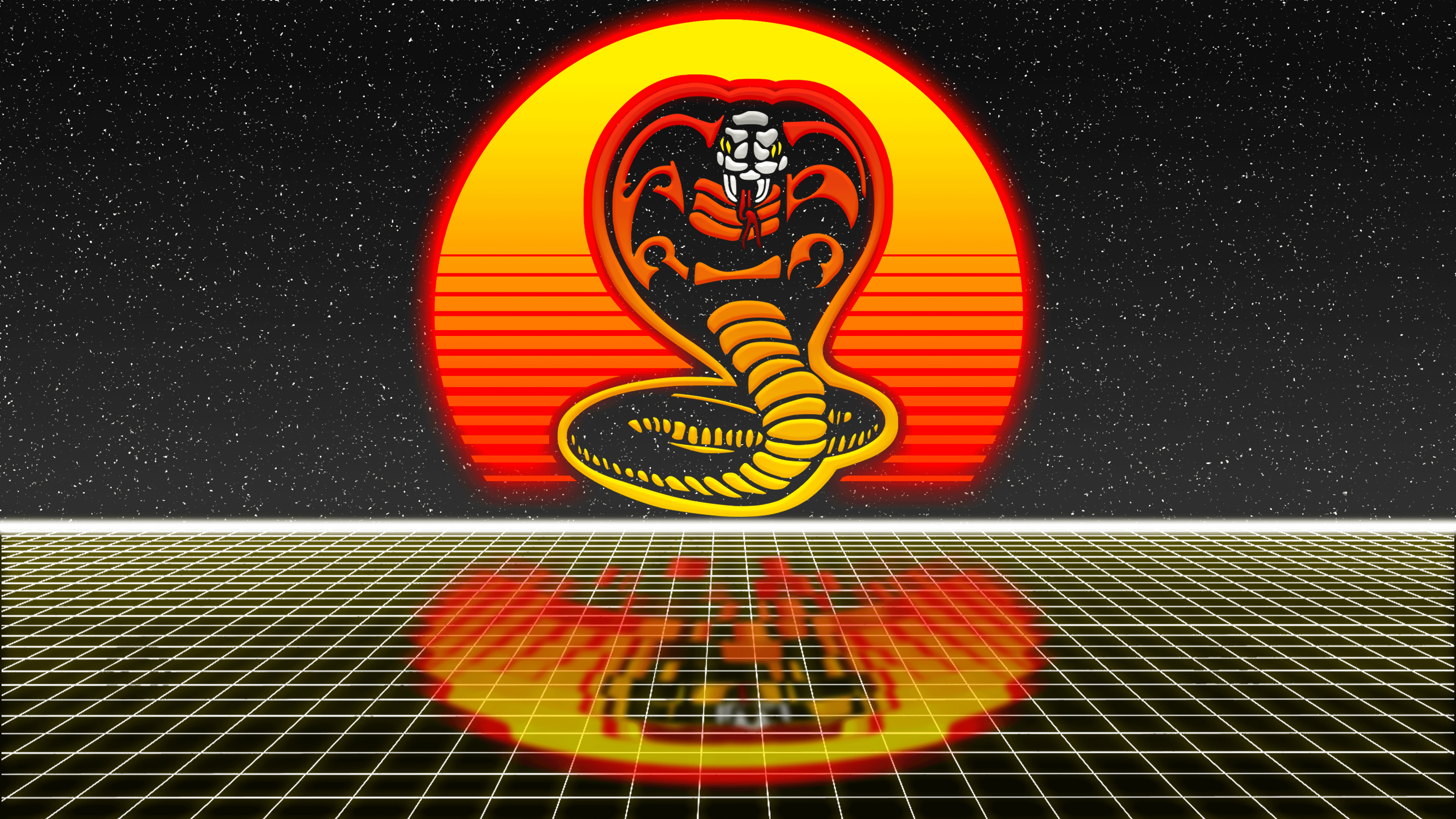 A brief description of this image that is at least 20 words but no longer than 50 words - Cobra Kai