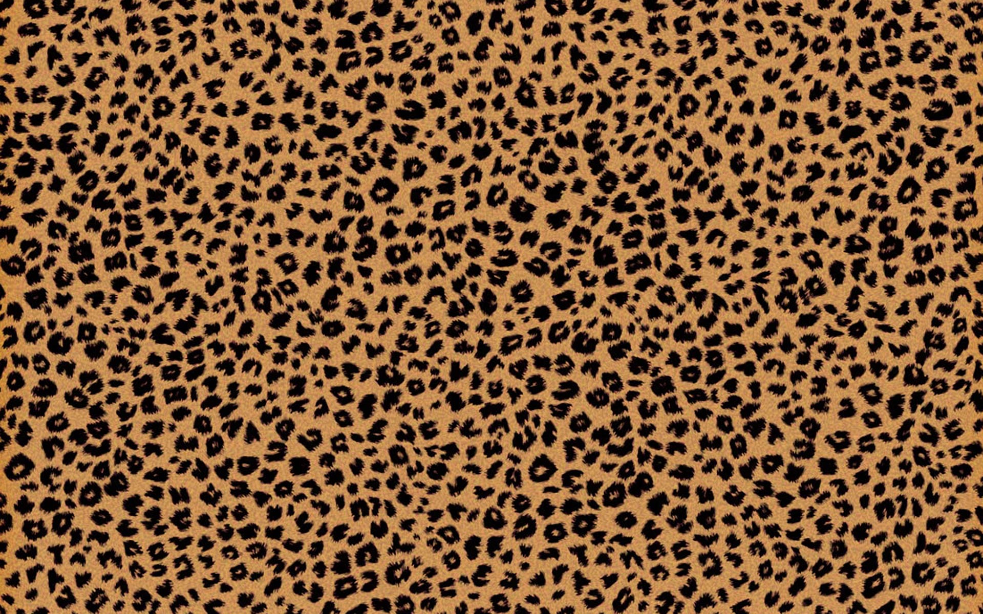 Leopard Print Computer Wallpaper