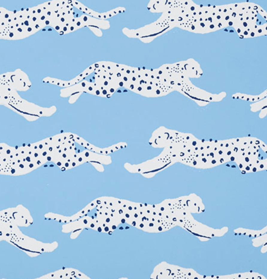 Leaping cheetahs on a sky blue background - Leopard