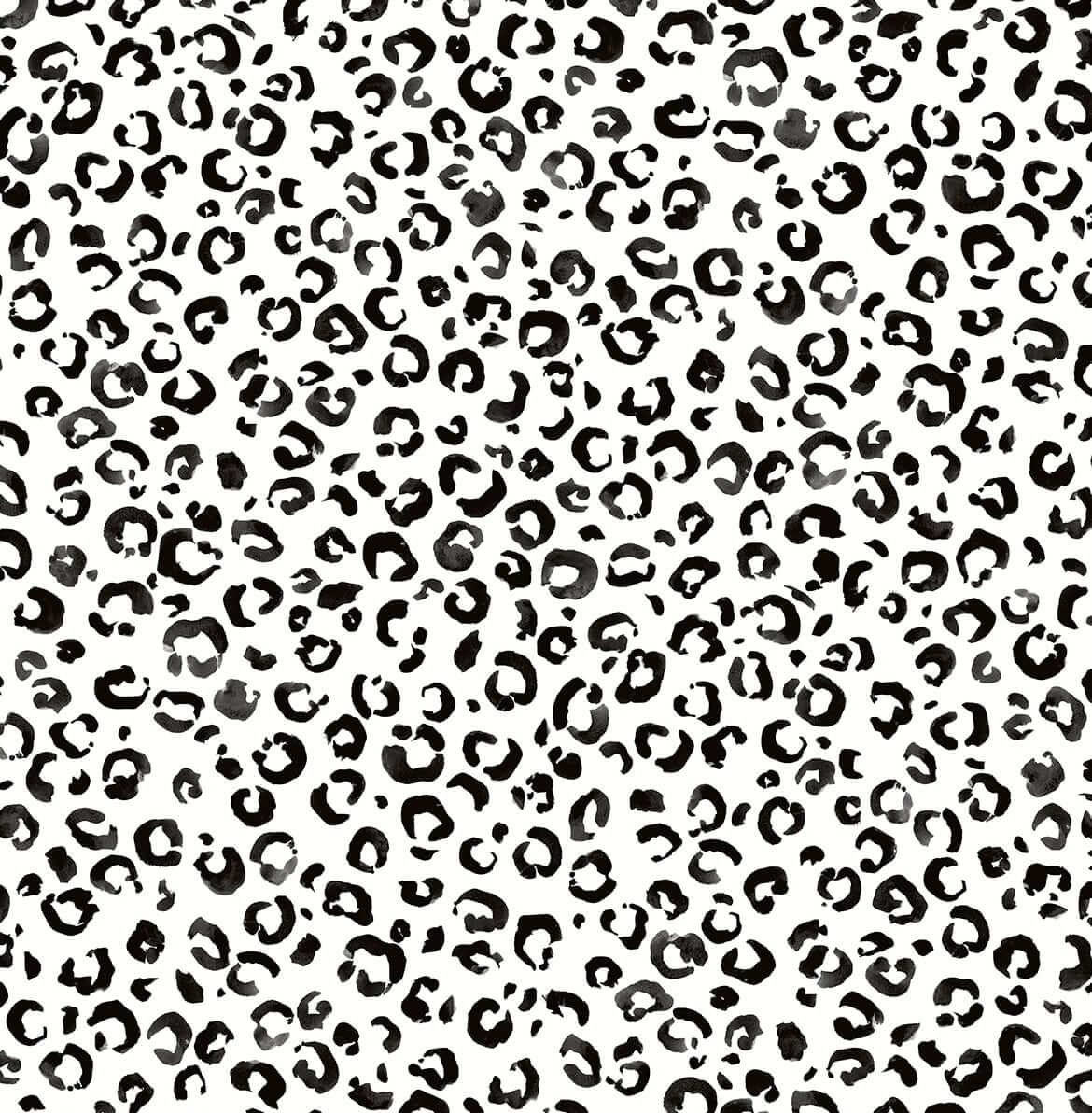 Black and white leopard print - Leopard