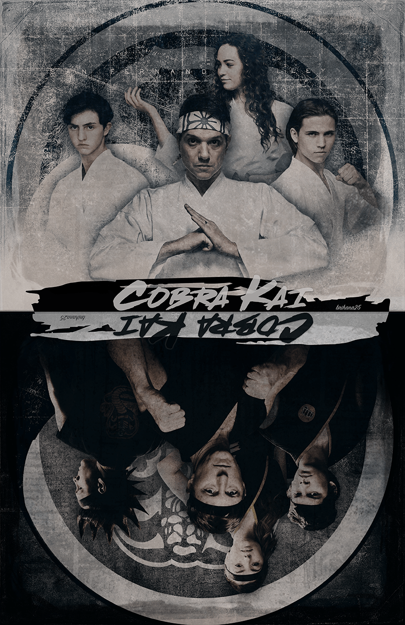 Team Miyagi Do.. Dark Vs. Light. Good Vs. Evil. Right Vs. Wrong. Flip The Script. Fan Art