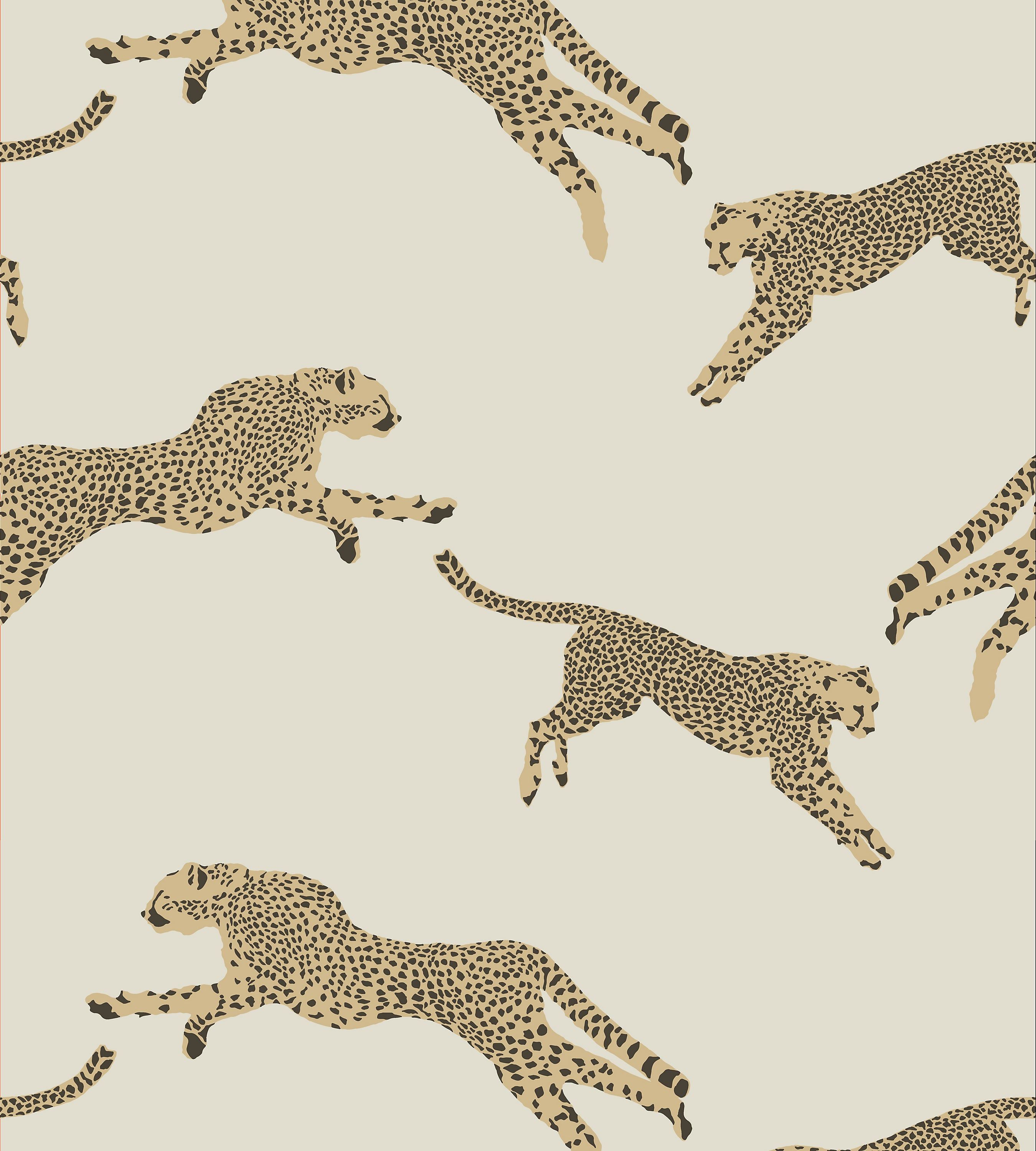 Leopards running on a light background - Leopard