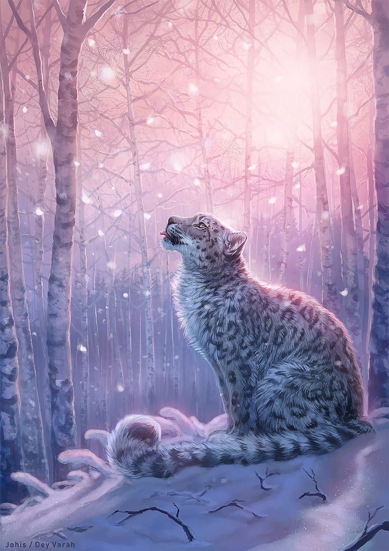 A snow leopard sitting on a snowy hillside looking up at the sky. - Leopard