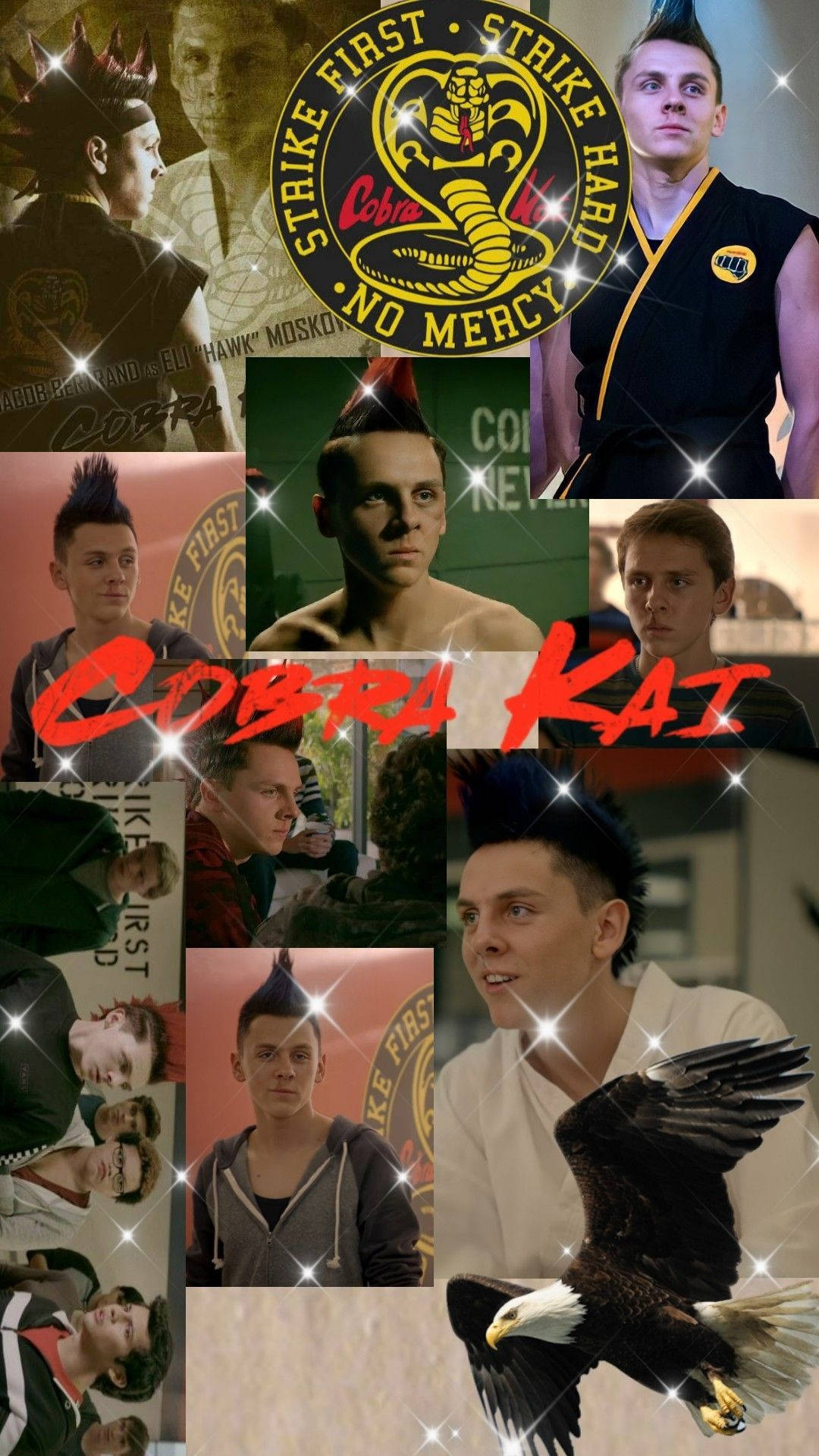 Collage of Cobra Kai characters with the words 