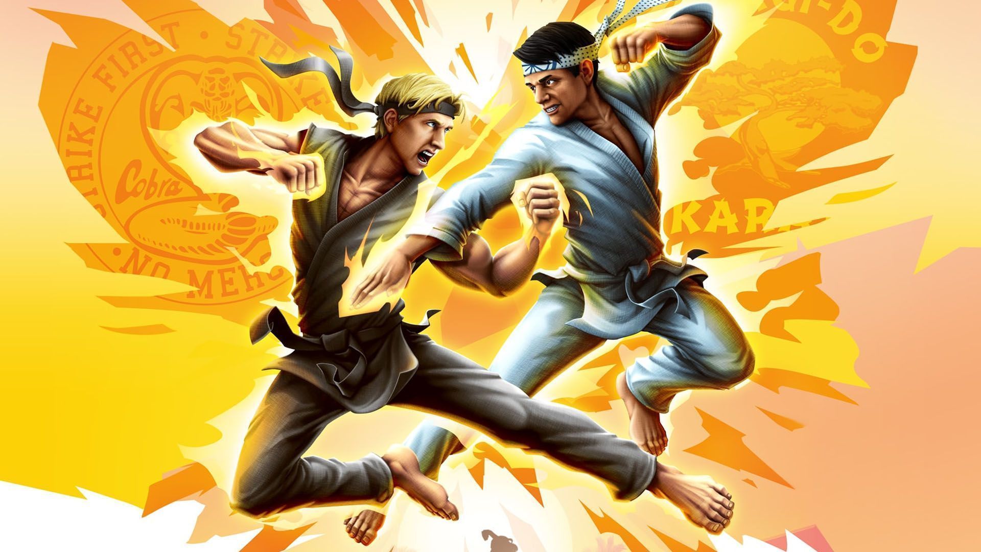 Cobra Kai: The Karate Kid Saga Continues Review