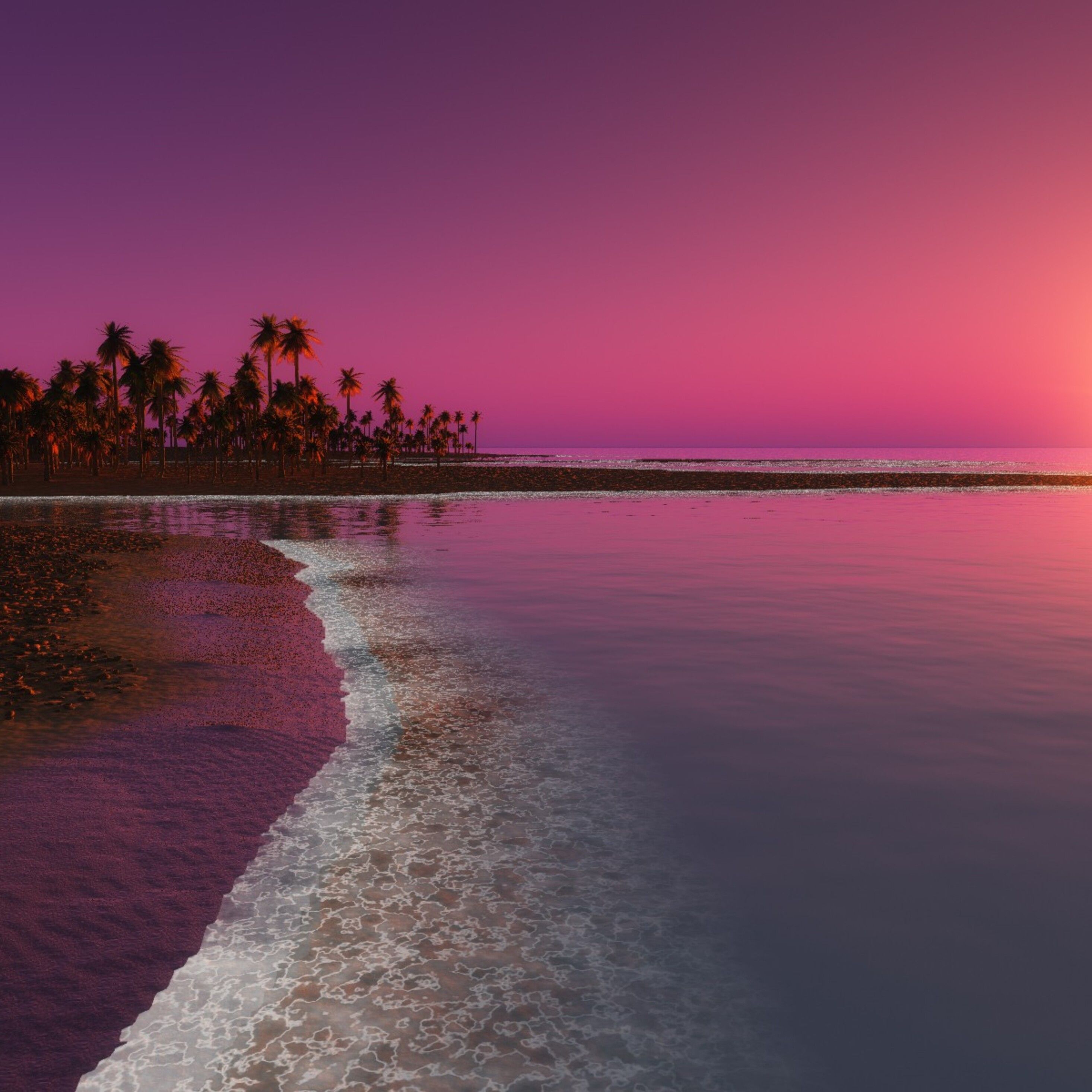 A beautiful beach sunset with palm trees in the distance. - Coast