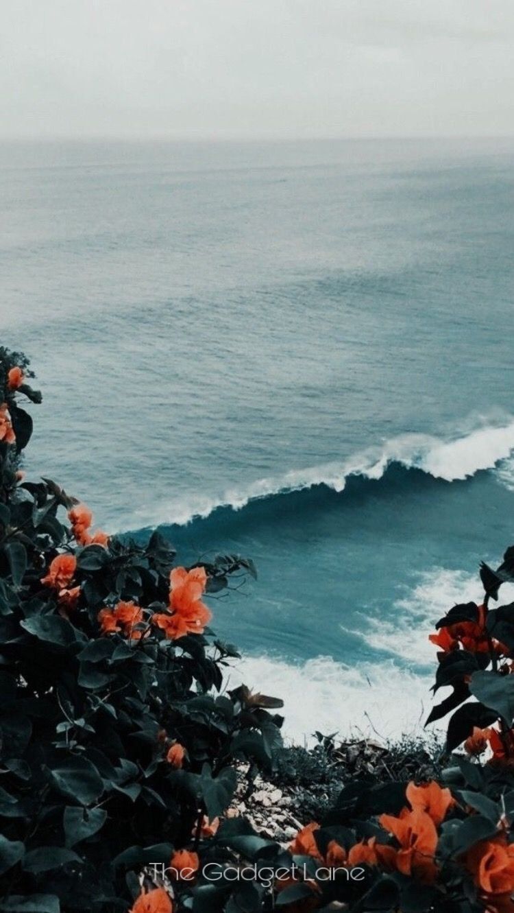 Aesthetic Ocean Flowers Wallpaper Download