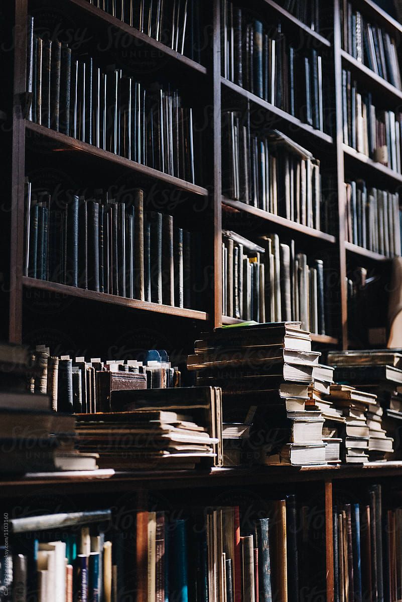 A bookshelf with many books and a person reading in the background. - Bookshelf