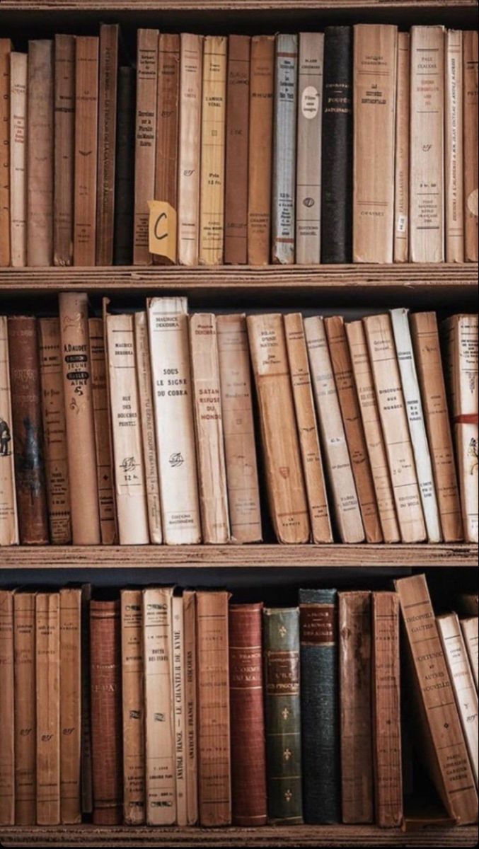 A bookshelf with a variety of books. - Bookshelf