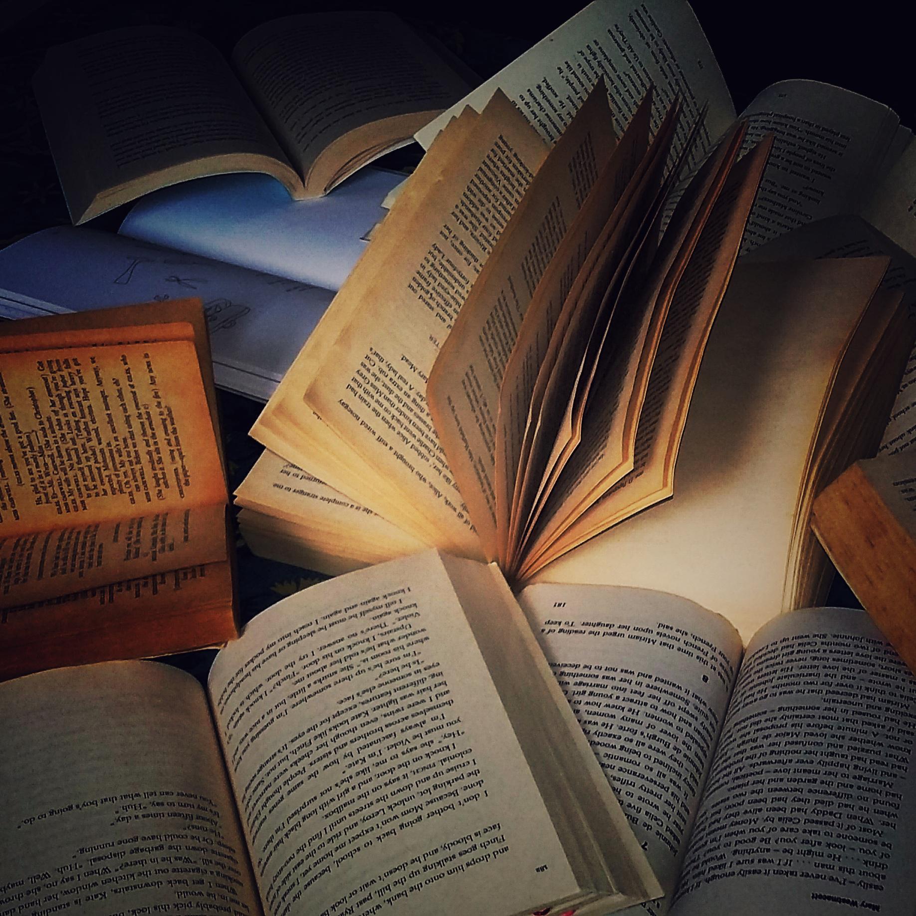 A rather old photo I took while cleaning my bookshelf. Hope it fits the aesthetic uwu