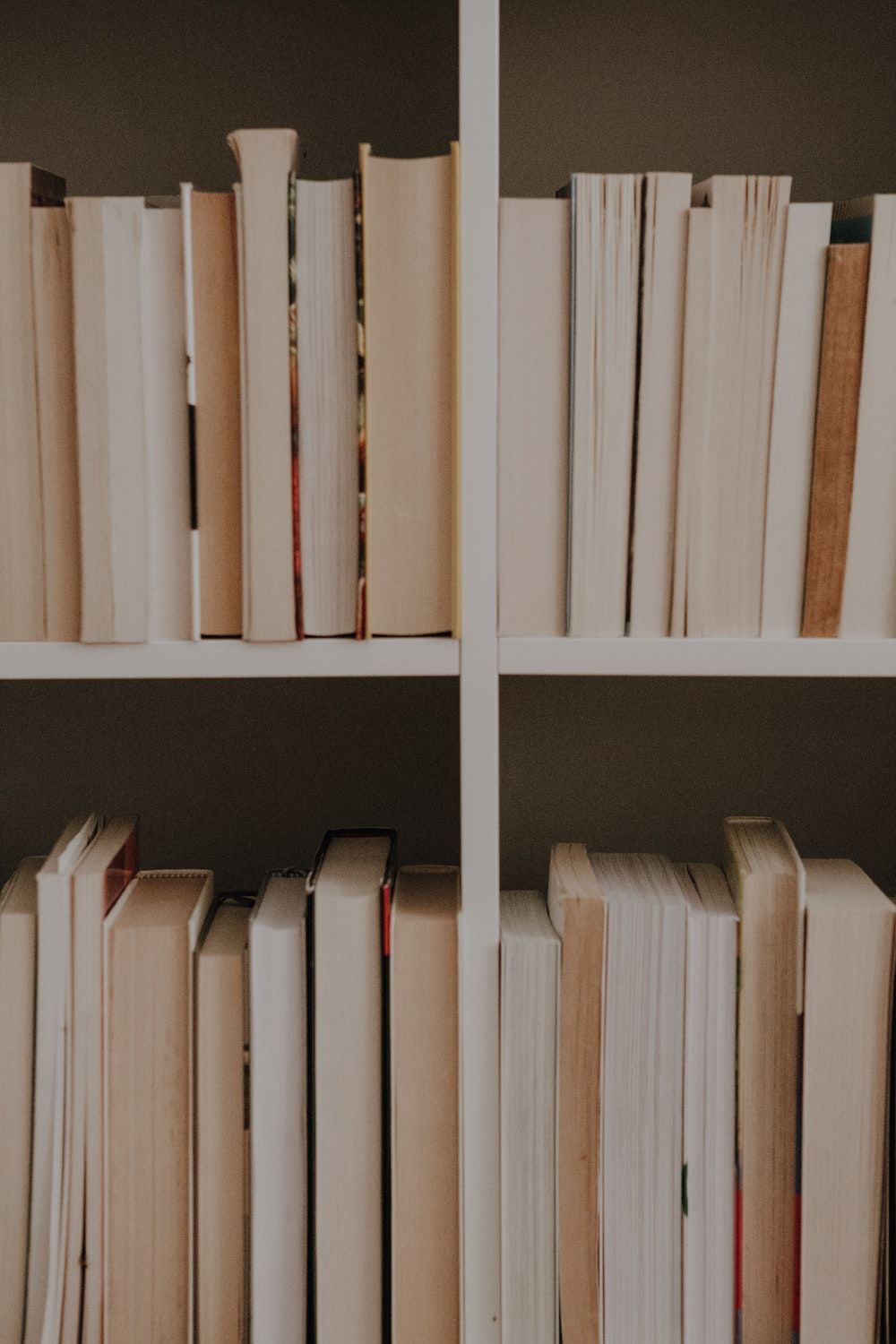 A row of books on a shelf photo