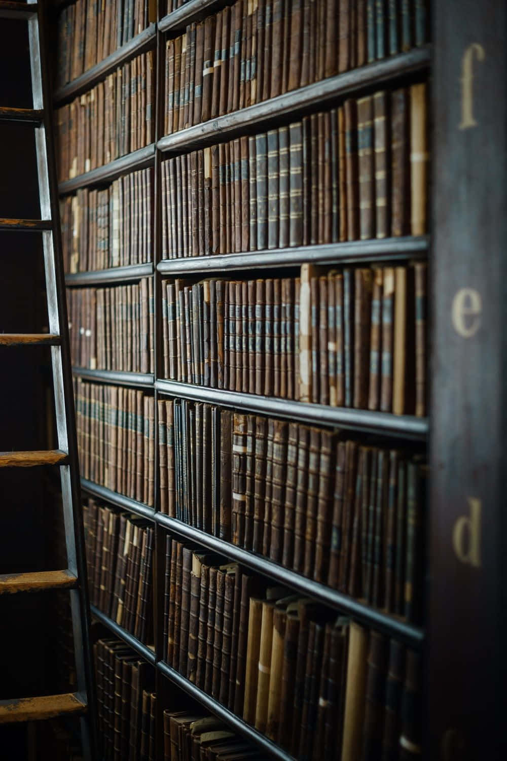 A ladder is leaning against a wall of books. - Bookshelf