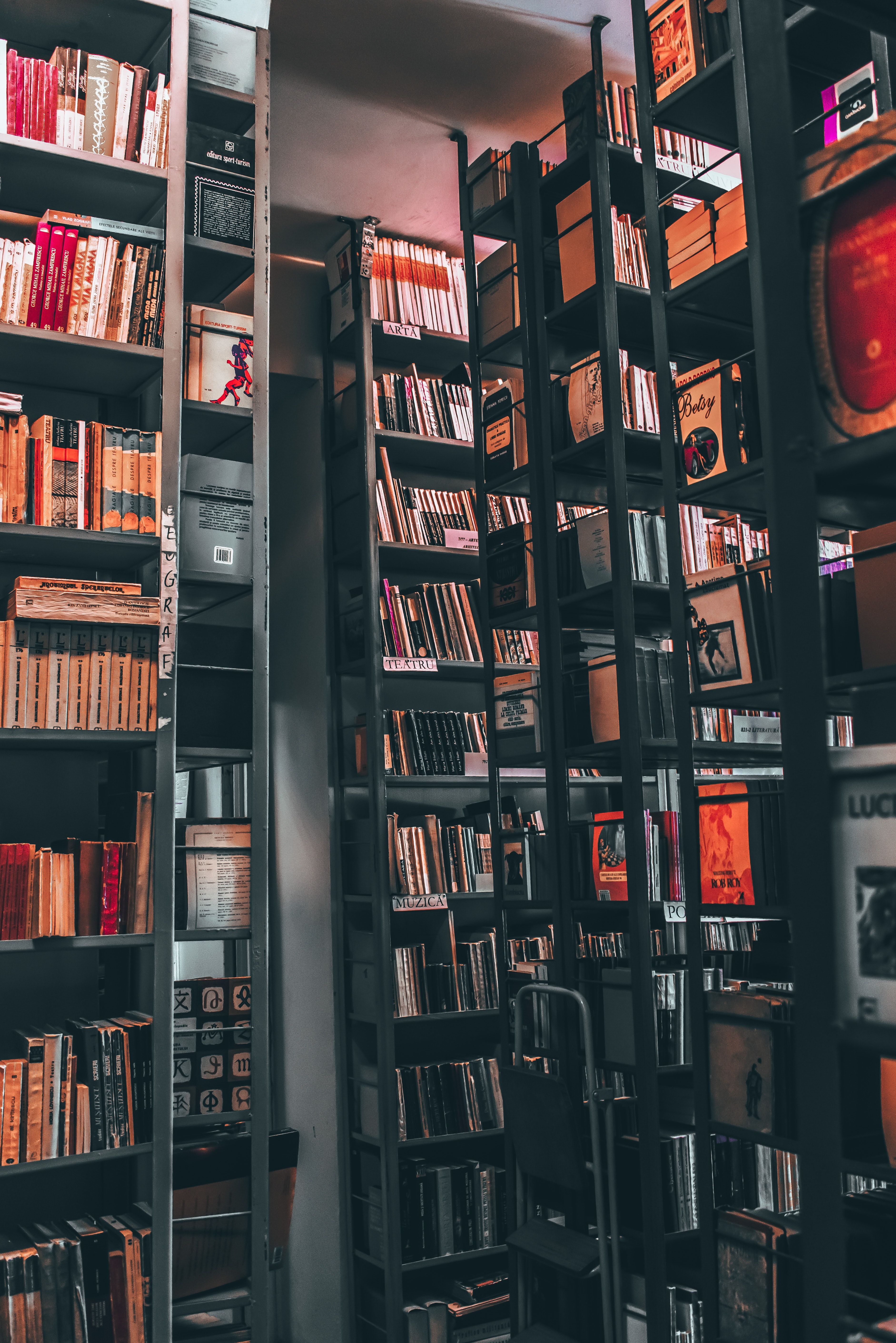 A library with many books on the shelves - Bookshelf