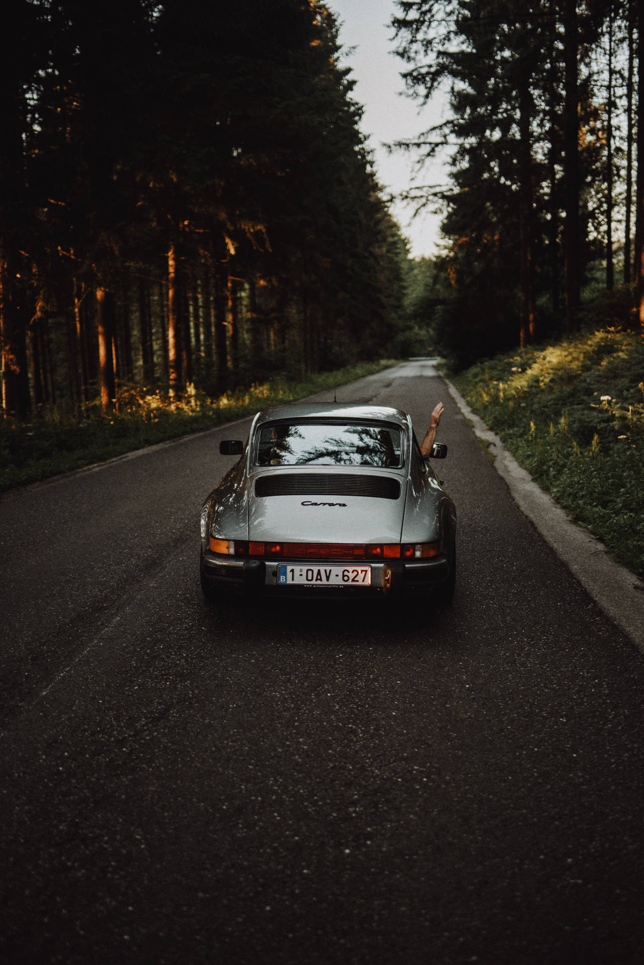 A man in a Porsche on a forest road - Cars
