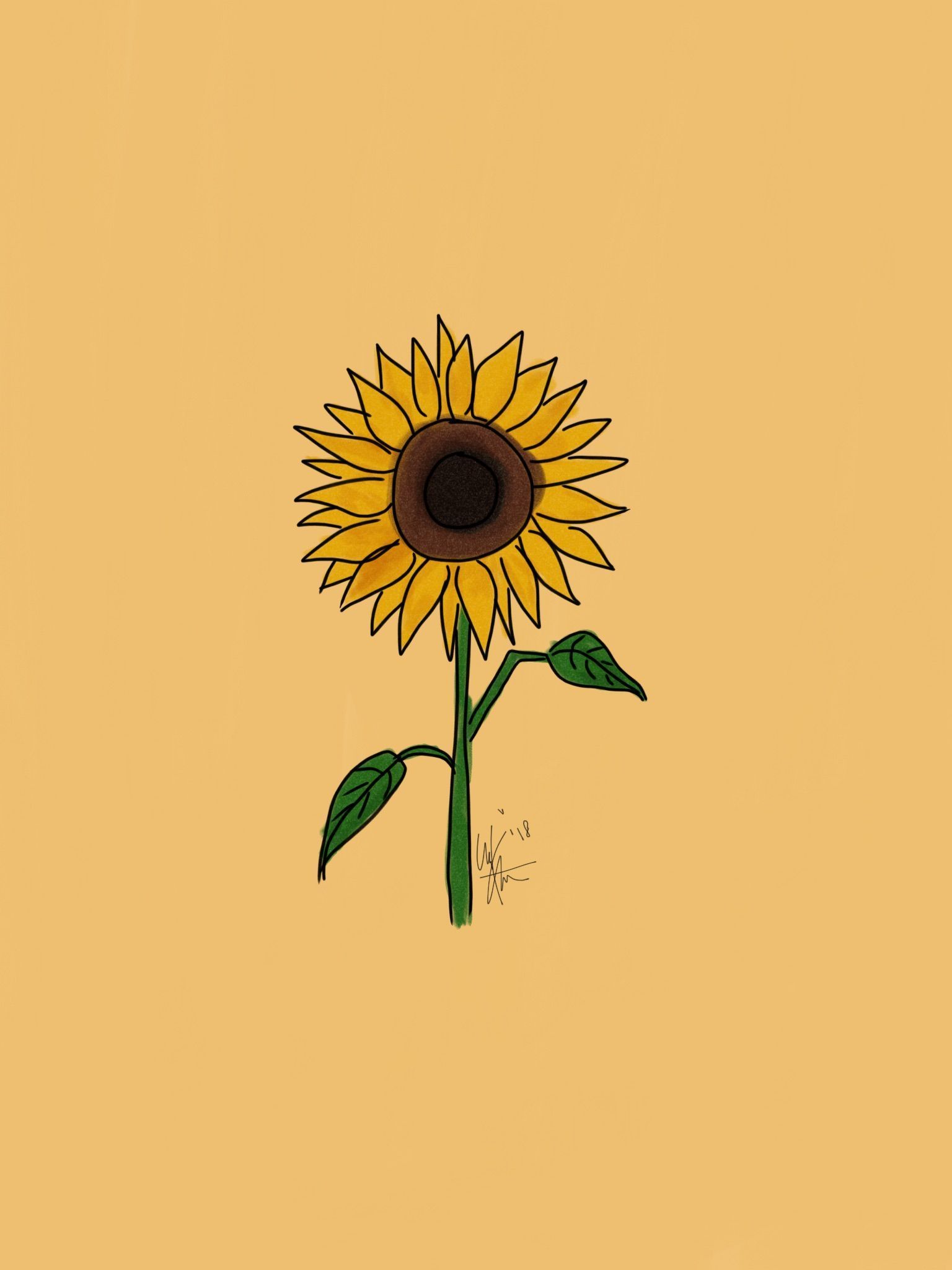 A yellow sunflower with a brown center on a yellow background - Profile picture, sunflower, yellow iphone