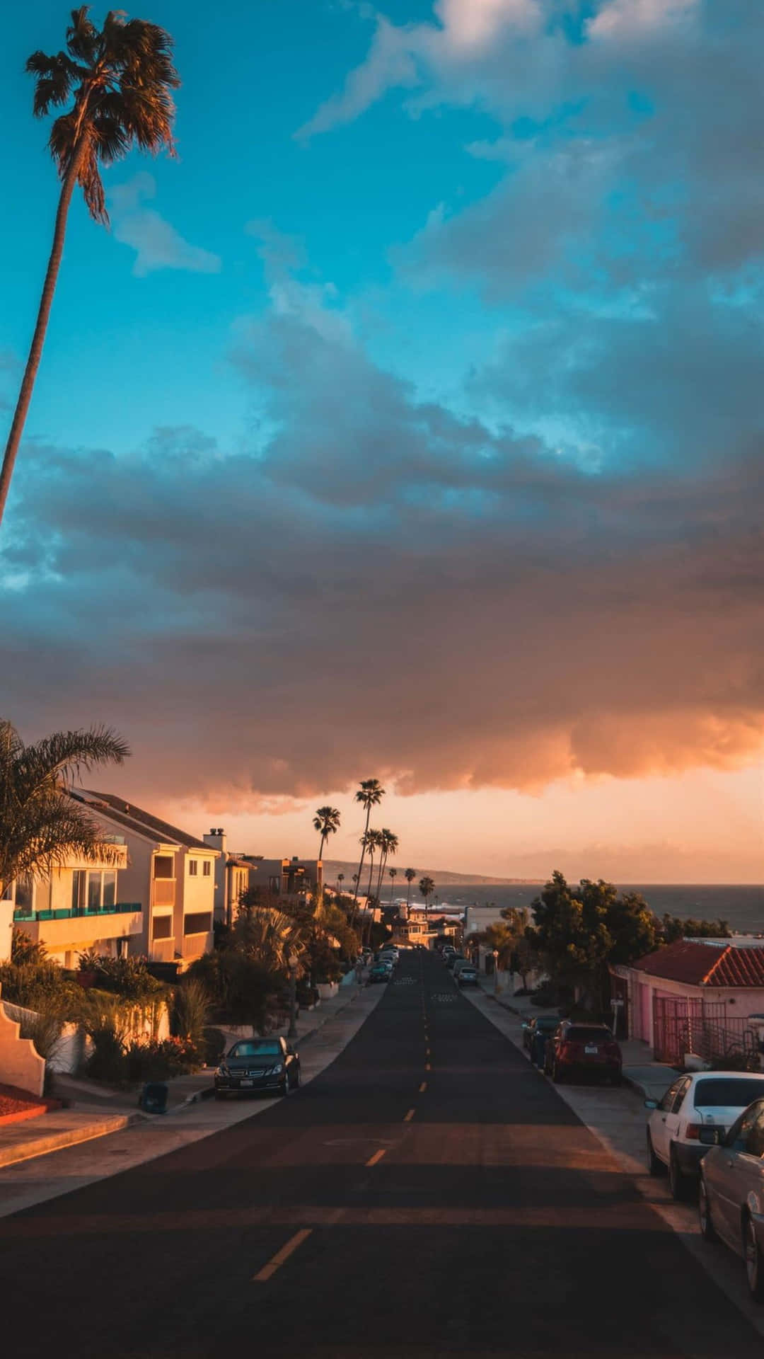 A street with palm trees on the side of it - California